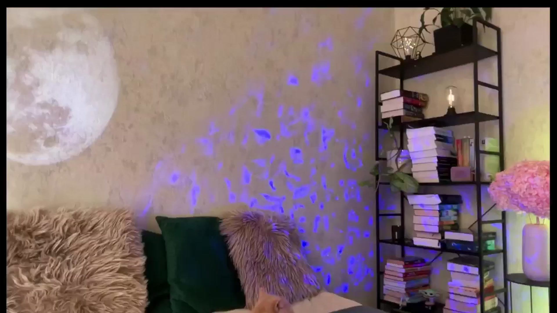 Gallery image thumbnail from LovelyBvnny's myfreecams stream on, 03/29/2026, 11:37 image 5 of 20