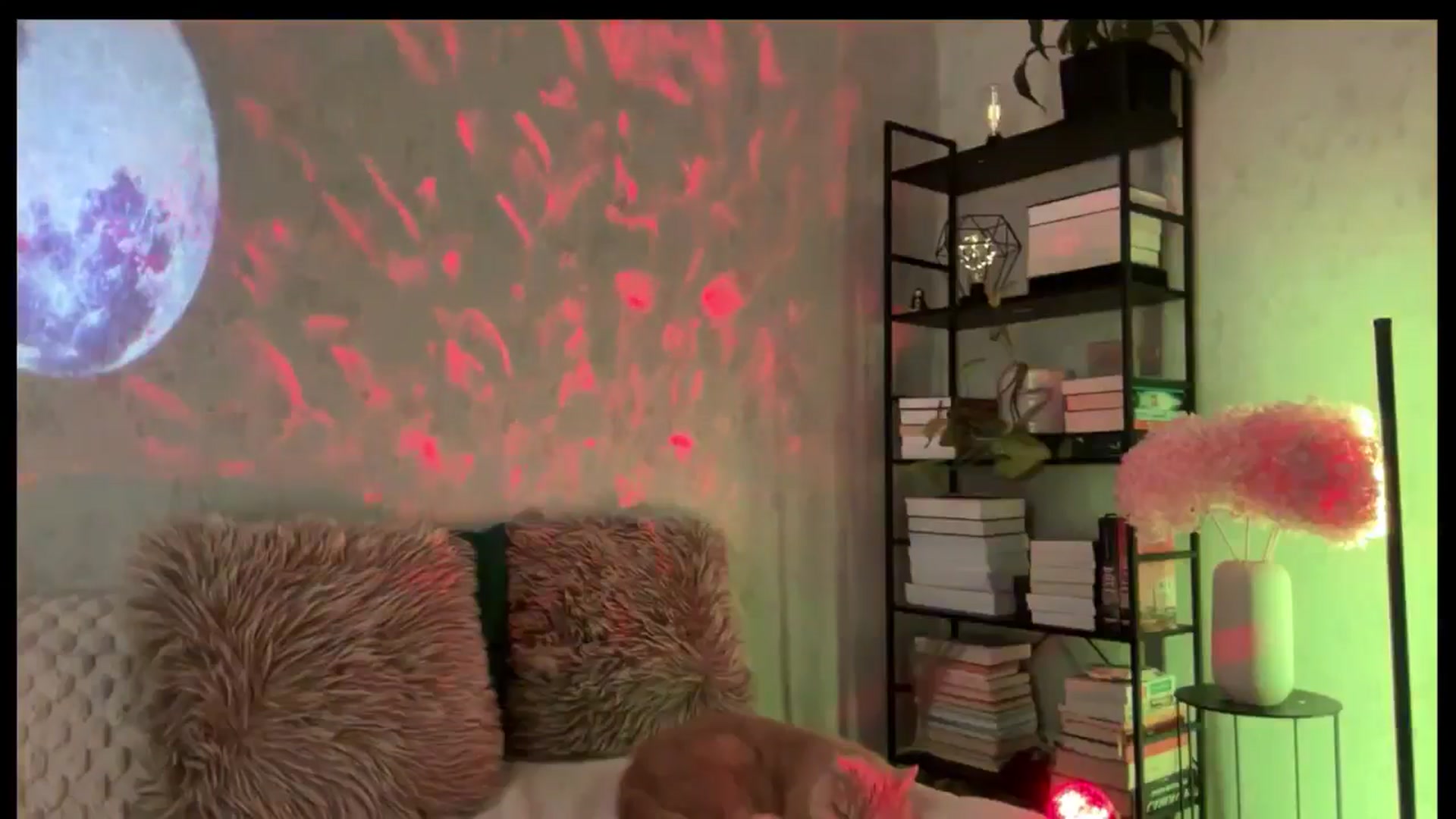 Gallery image thumbnail from LovelyBvnny's myfreecams stream on, 04/14/2026, 15:53 image 8 of 20