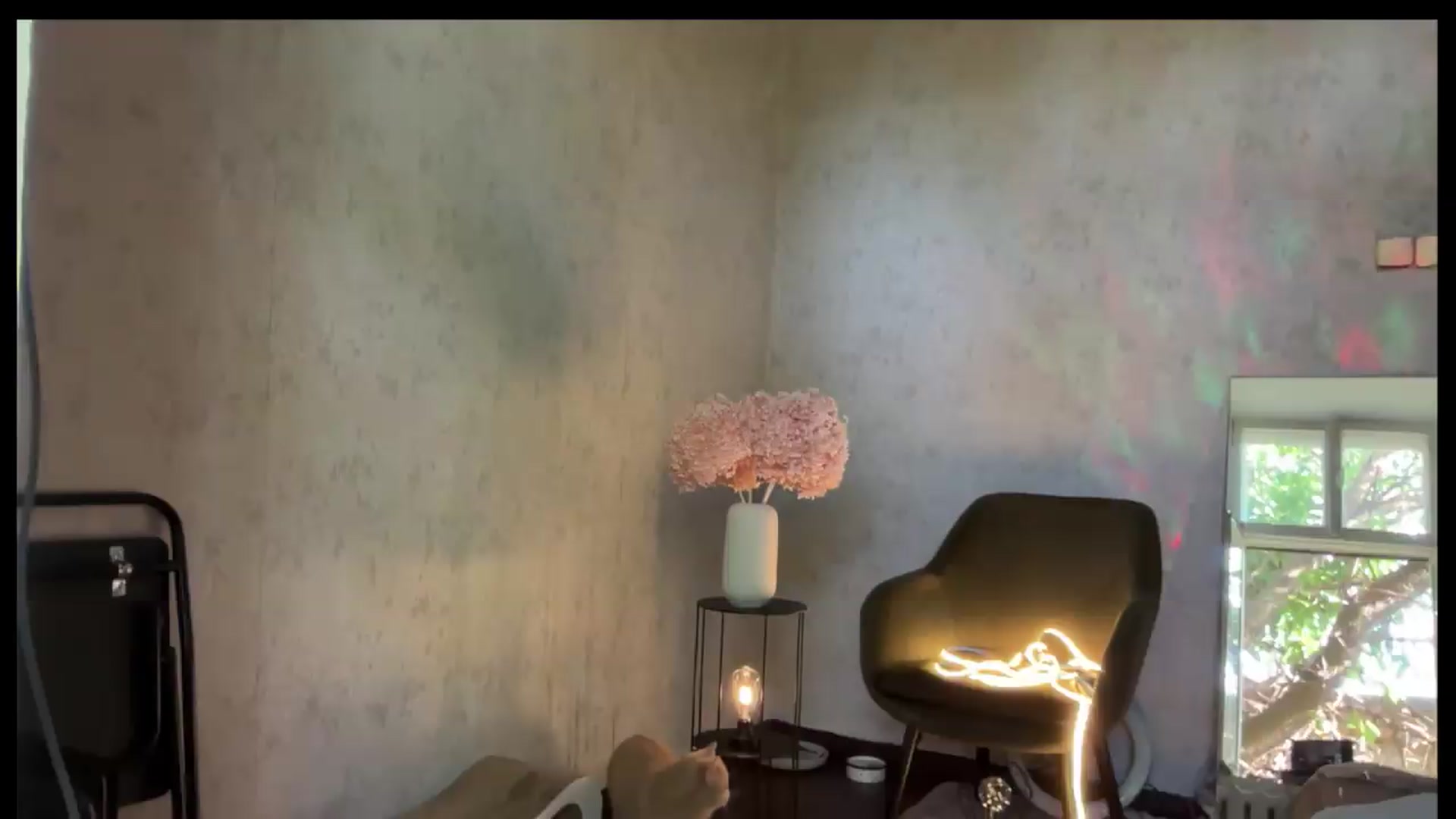 Gallery image thumbnail from LovelyBvnny's myfreecams stream on, 06/05/2026, 15:51 image 11 of 20