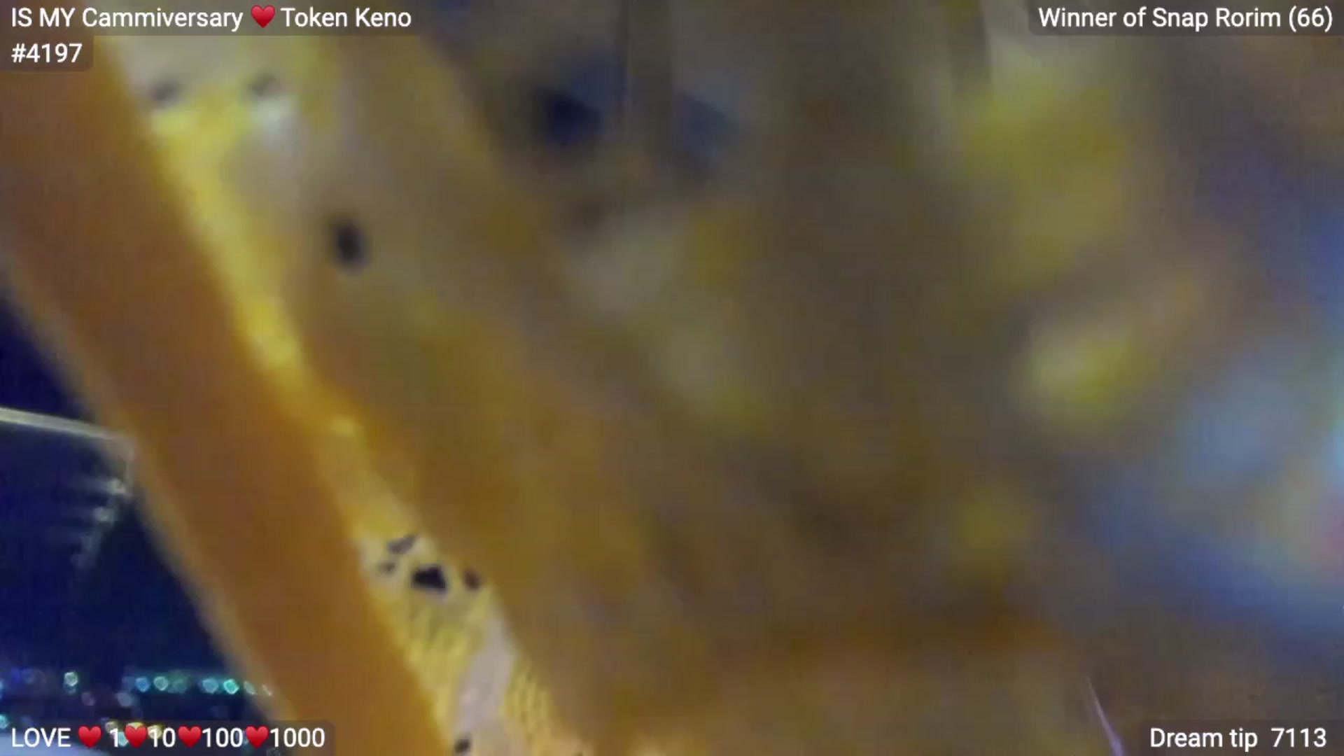 Gallery image thumbnail from LovelyEvaa's myfreecams stream on, 11/27/2022, 05:03 image 5 of 20