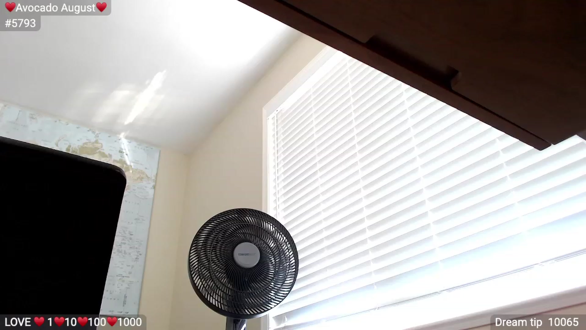Gallery image thumbnail from LovelyEvaa's myfreecams stream on, 08/08/2023, 24:26 image 4 of 20