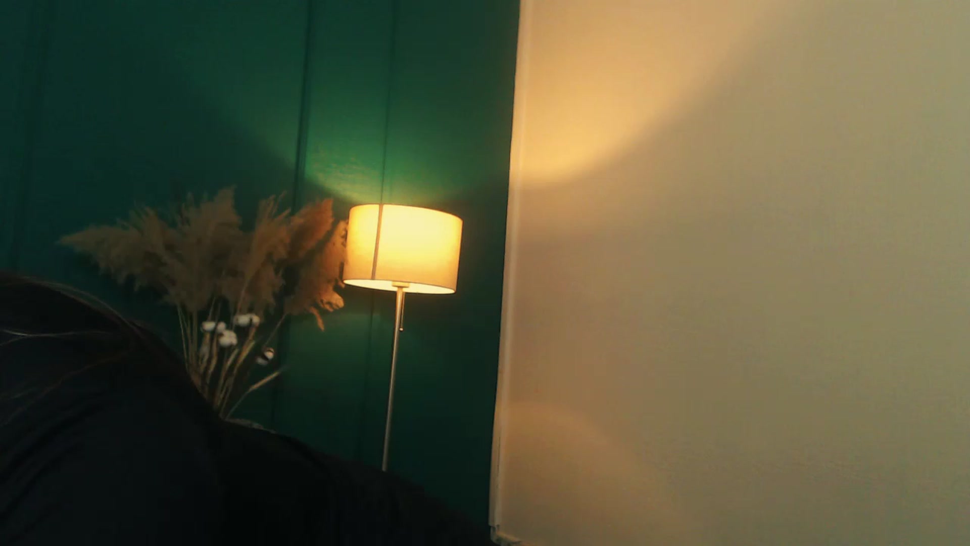Gallery image thumbnail from LovelyGin's myfreecams stream on, 06/05/2023, 17:37 image 20 of 20