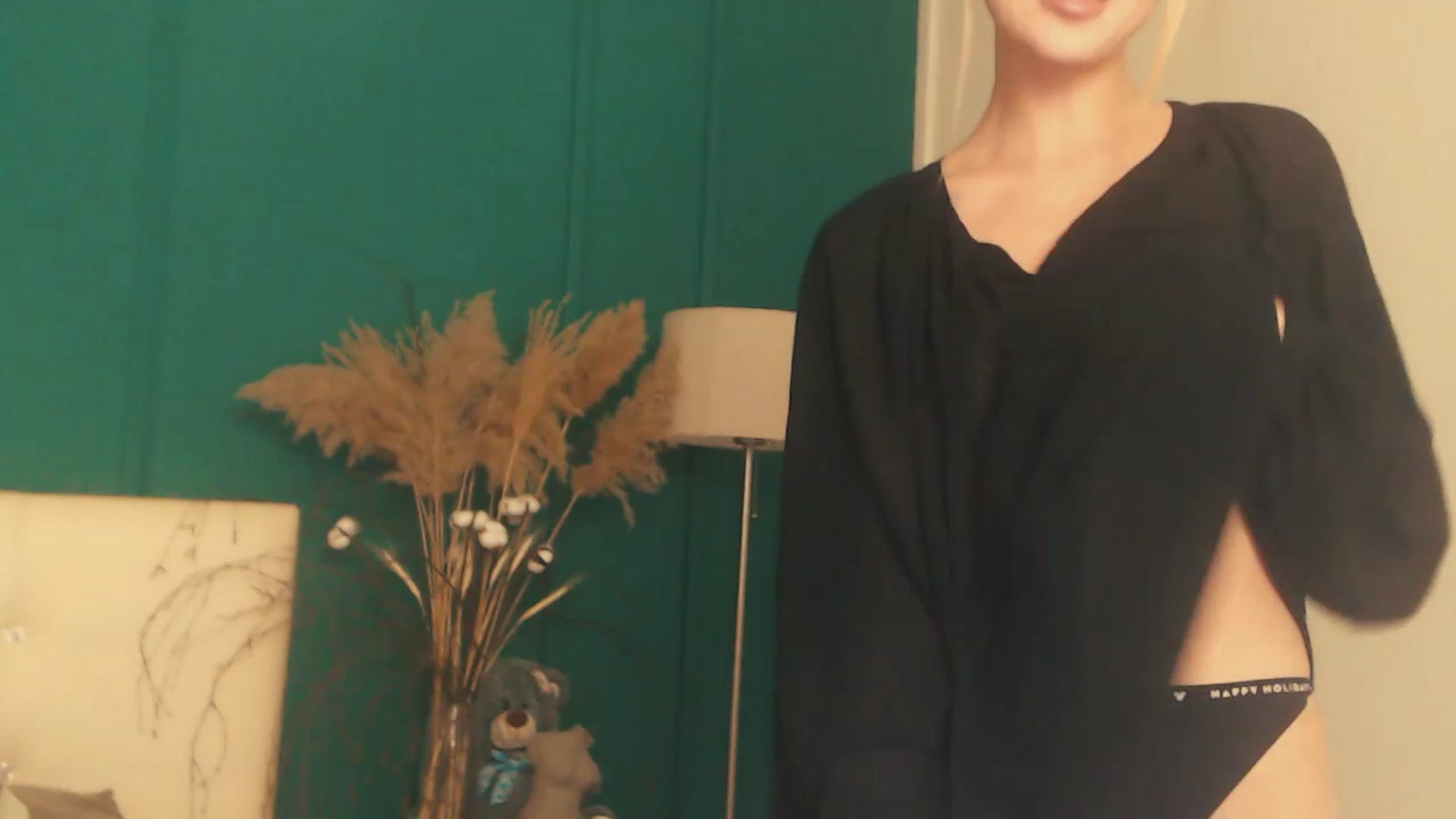 Gallery image thumbnail from LovelyGin's myfreecams stream on, 07/19/2023, 18:06 image 19 of 20