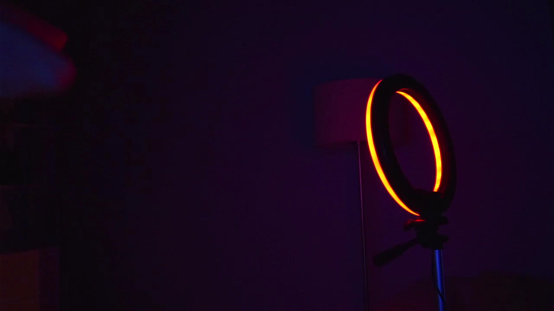 Gallery image thumbnail from LovelyGin's myfreecams stream on, 11/21/2024, 19:12 image 17 of 20