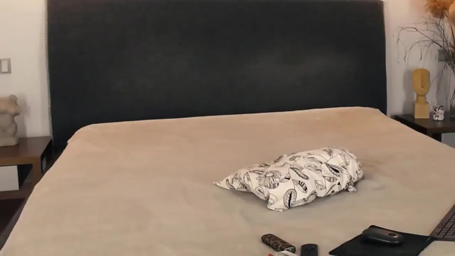 Gallery image thumbnail from LovelyGin's myfreecams stream on, 02/18/2025, 17:15 image 16 of 20