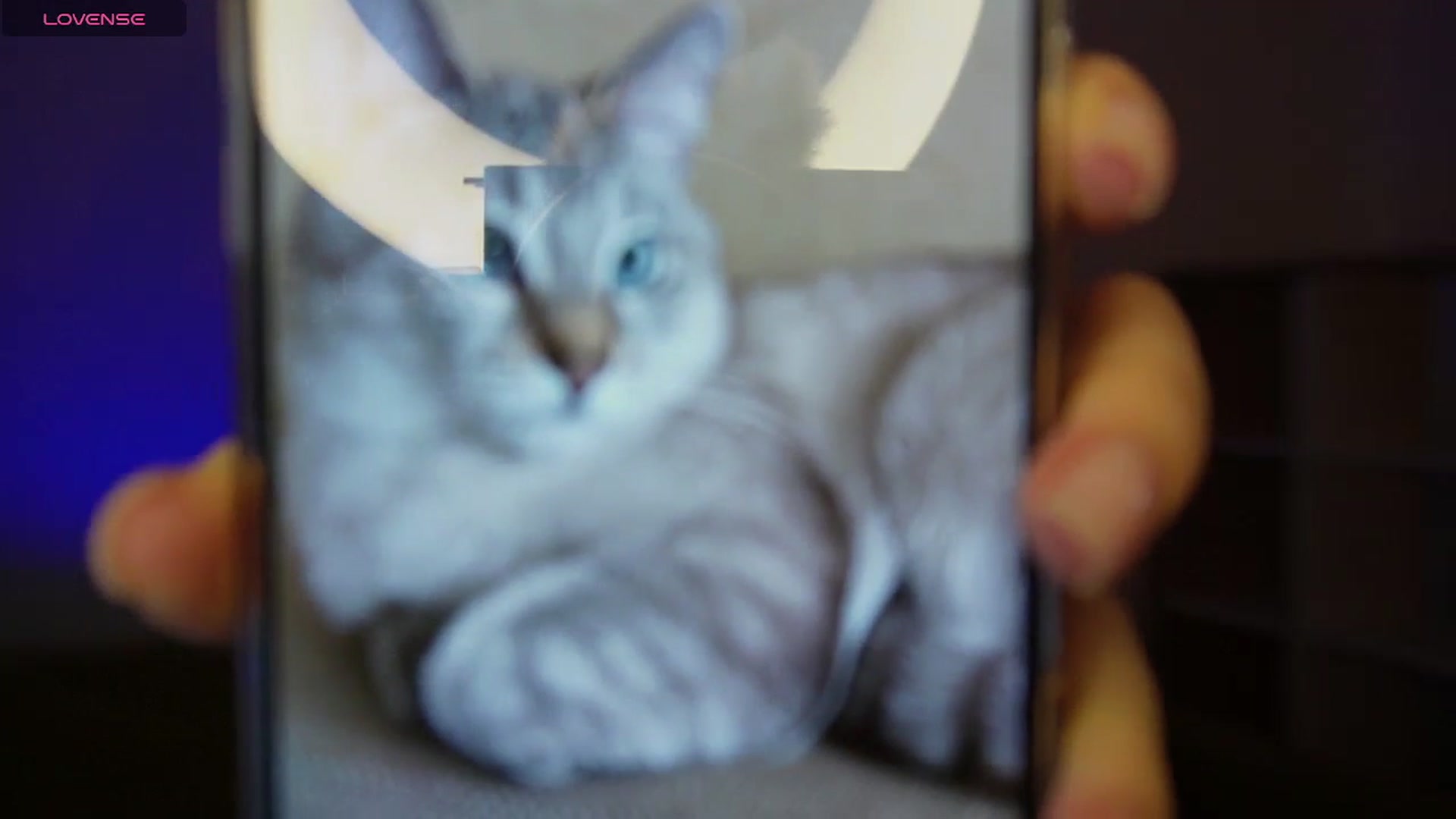 Gallery image thumbnail from LovelyGin's myfreecams stream on, 05/09/2025, 14:09 image 12 of 20
