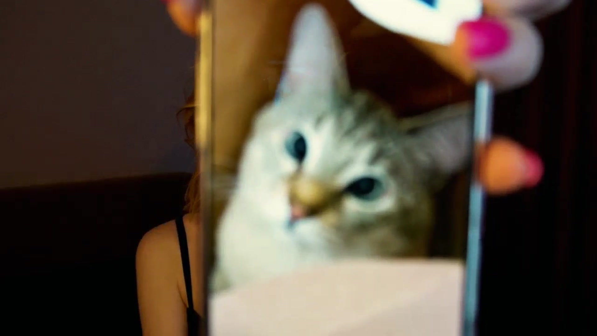 Gallery image thumbnail from LovelyGin's myfreecams stream on, 06/04/2025, 14:37 image 6 of 20