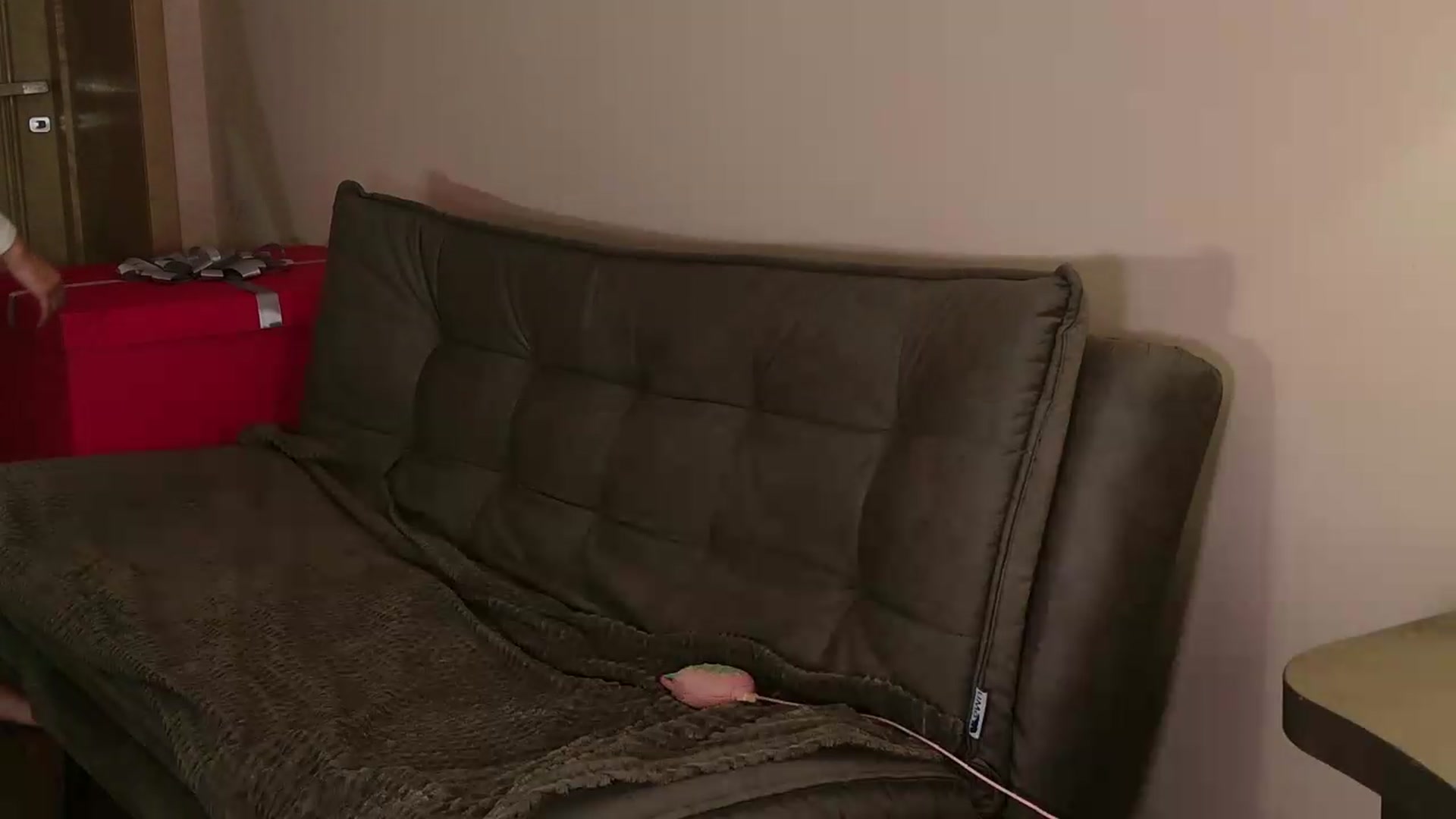 Gallery image thumbnail from LovelyGin's myfreecams stream on, 09/03/2026, 17:07 image 12 of 20
