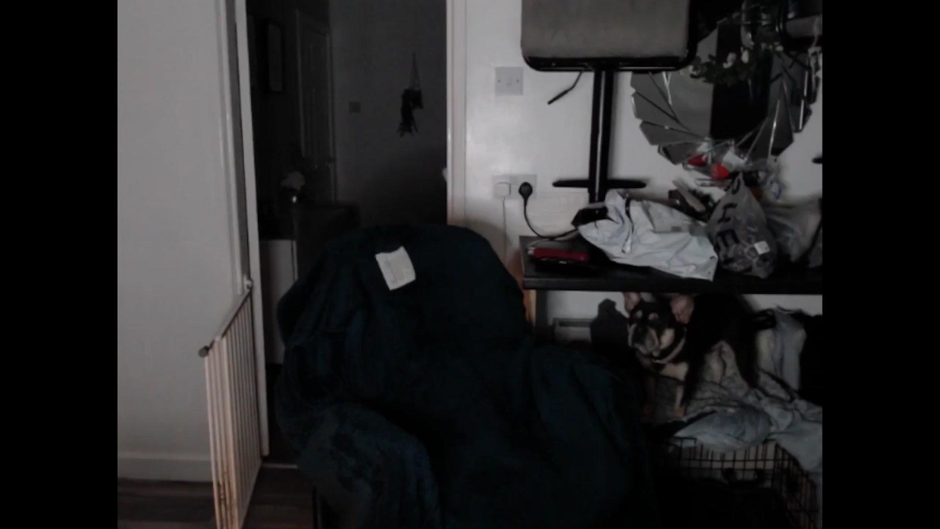 Gallery image thumbnail from LovelyLucy25's myfreecams stream on, 01/21/2025, 17:07 image 15 of 20