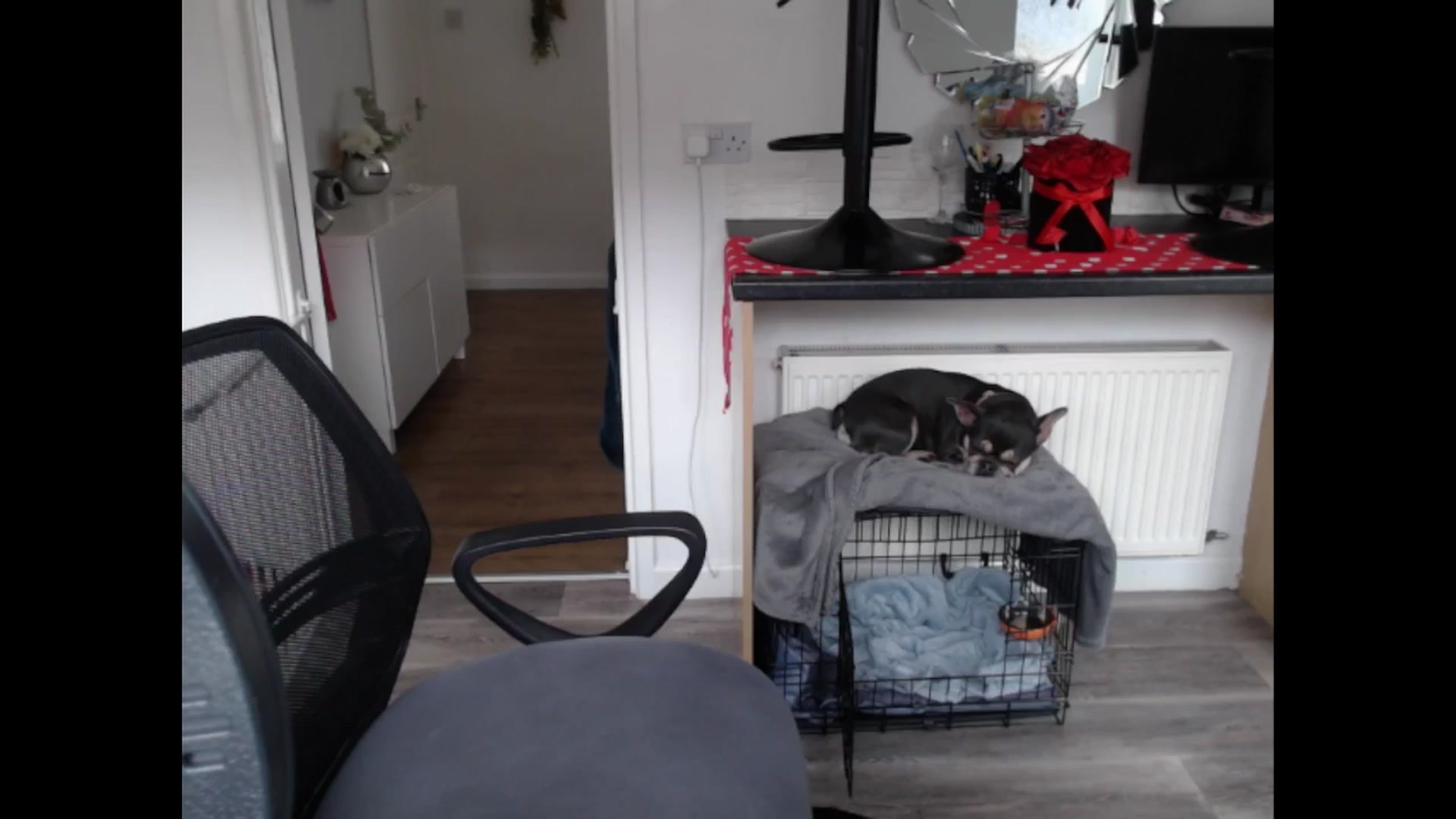 Gallery image thumbnail from LovelyLucy25's myfreecams stream on, 02/14/2025, 12:46 image 6 of 20