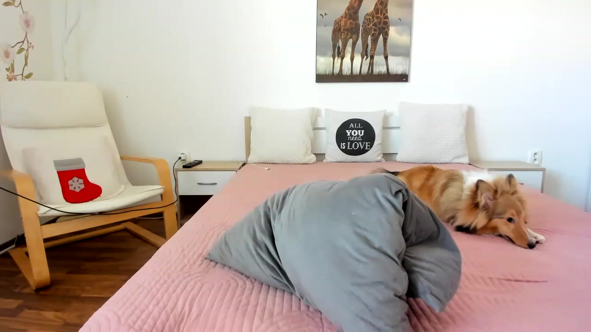 Gallery image thumbnail from LovelyVendy's myfreecams stream on, 03/12/2023, 11:57 image 14 of 20