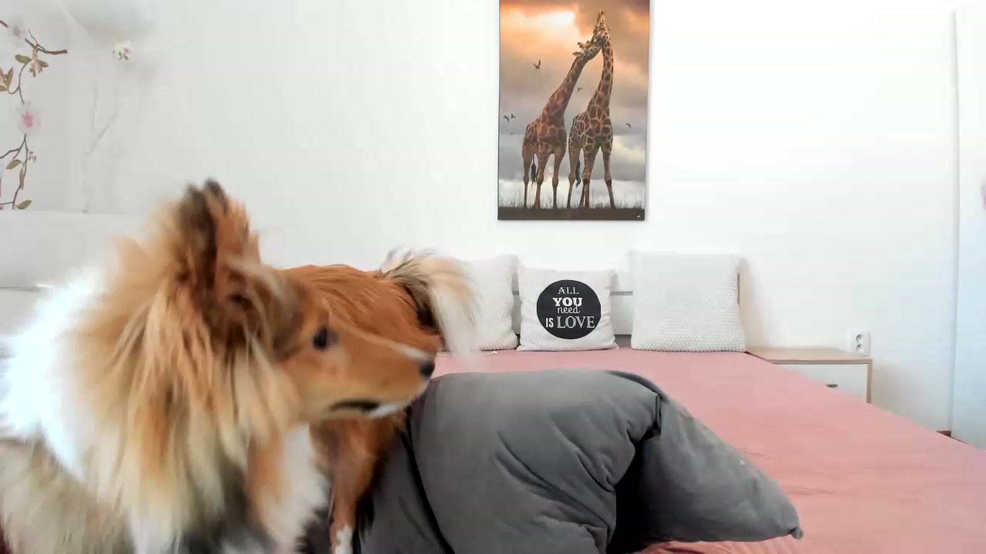 Gallery image thumbnail from LovelyVendy's myfreecams stream on, 03/15/2023, 13:24 image 13 of 20