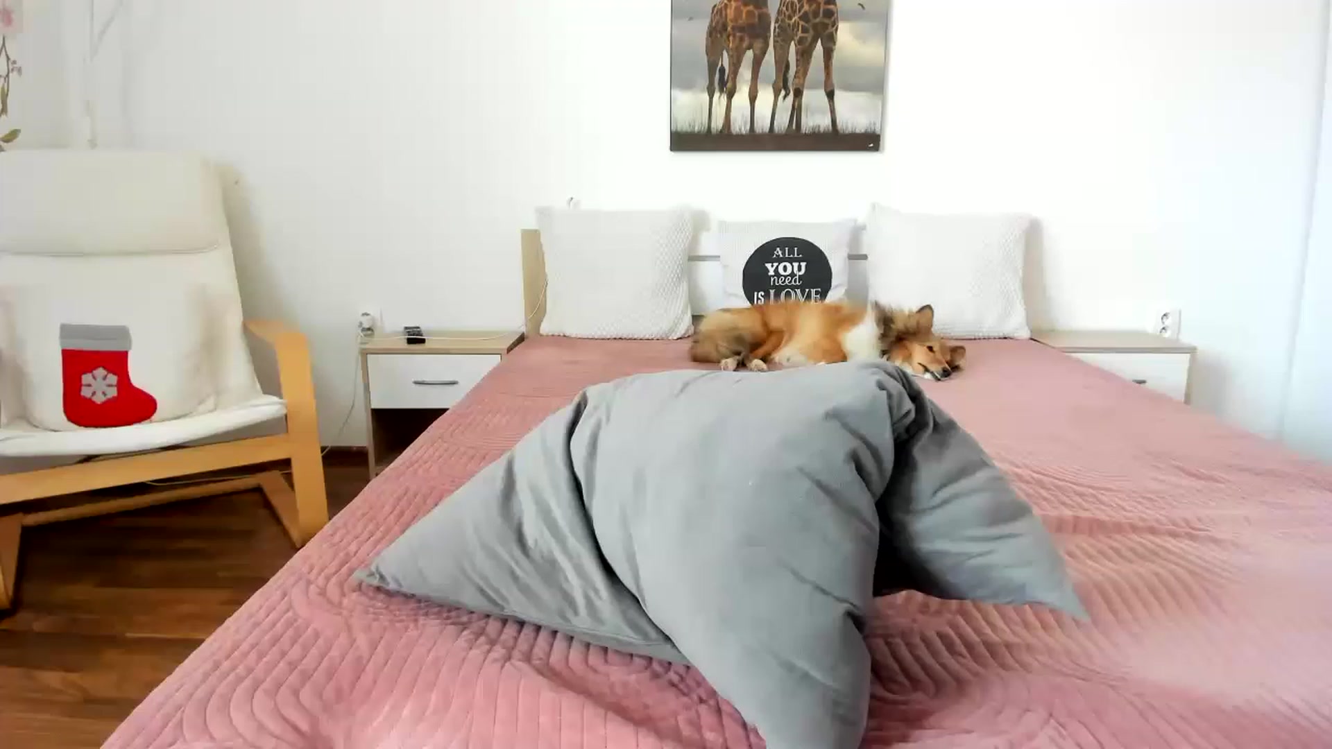 Gallery image thumbnail from LovelyVendy's myfreecams stream on, 03/18/2023, 11:19 image 2 of 20