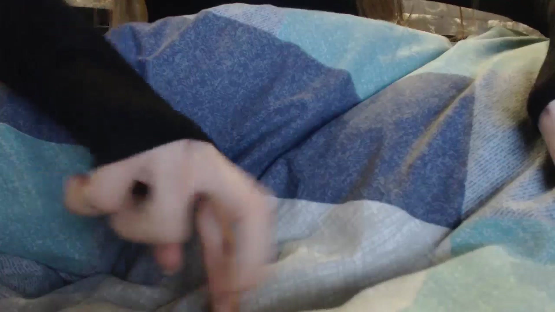 Gallery image thumbnail from Lovely_NataUA's myfreecams stream on, 02/22/2026, 21:50 image 9 of 20