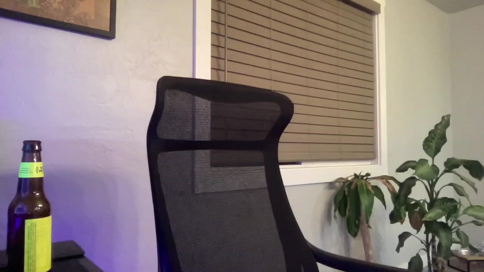 Gallery image thumbnail from Lovelyemilia's myfreecams stream on, 07/31/2023, 05:46 image 14 of 20