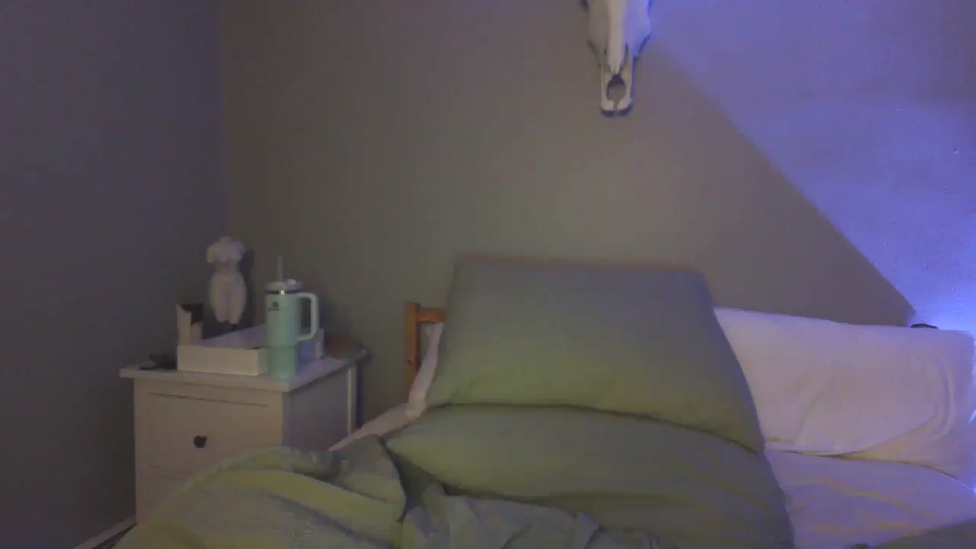Gallery image thumbnail from Lovelyleah's myfreecams stream on, 06/28/2025, 06:39 image 18 of 20