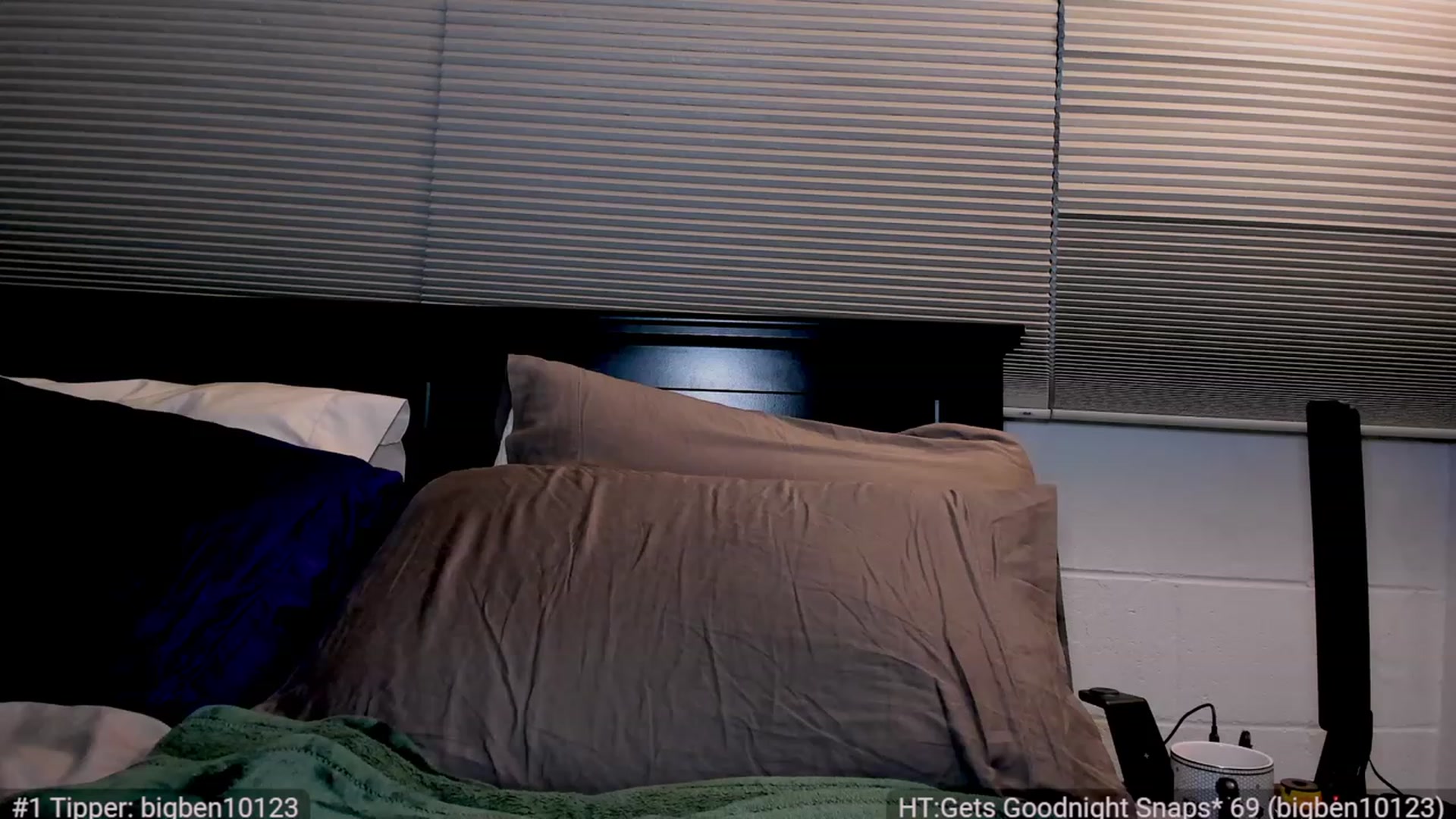 Gallery image thumbnail from LovesDesire's myfreecams stream on, 12/04/2023, 09:41 image 5 of 20
