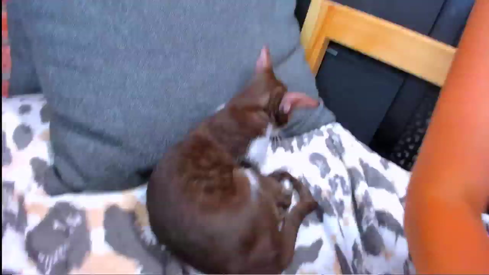 Gallery image thumbnail from LoyalToYouu's myfreecams stream on, 08/17/2024, 10:18 image 5 of 20