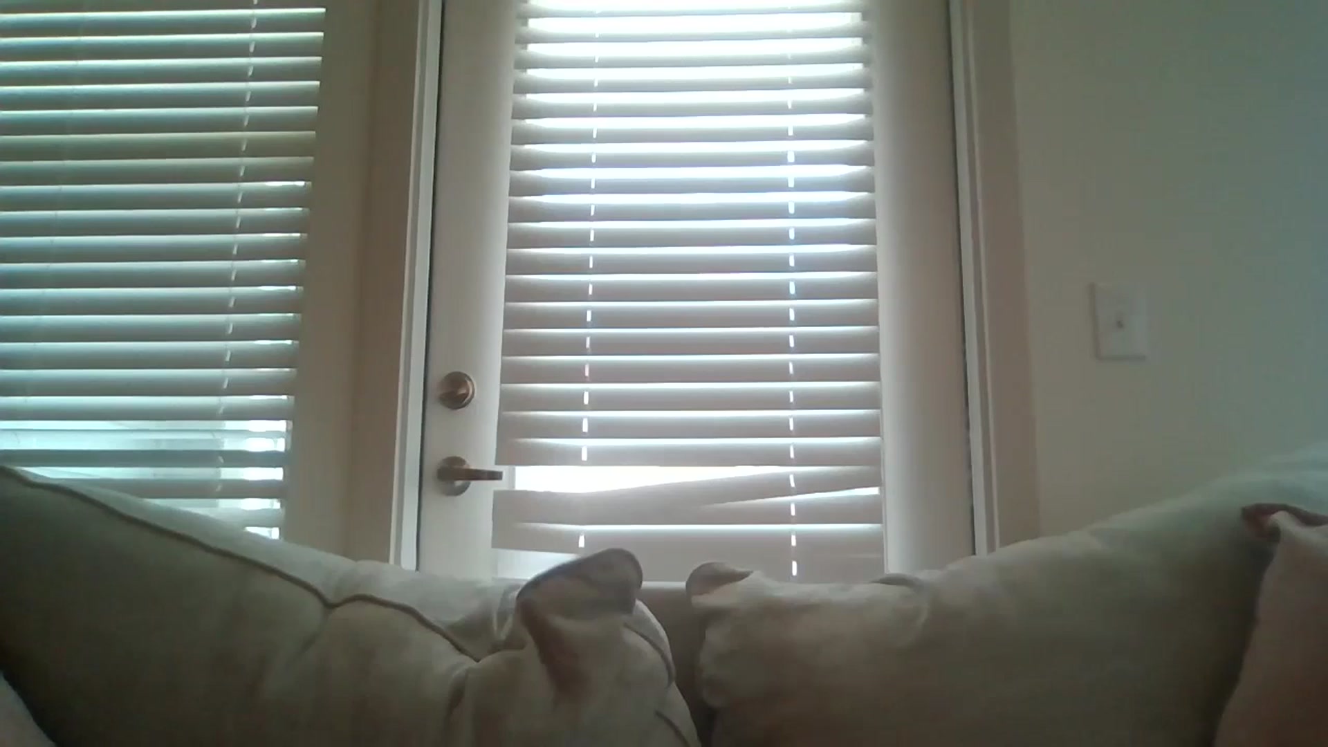 Gallery image thumbnail from Lpell1's myfreecams stream on, 08/07/2024, 21:29 image 15 of 20
