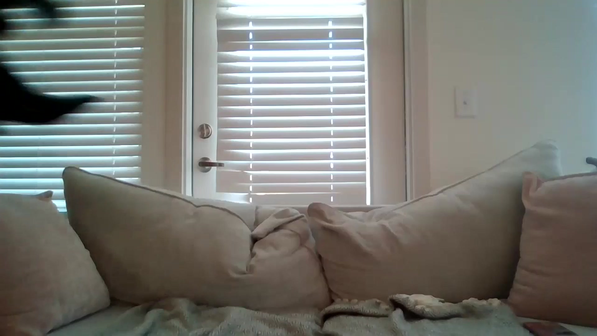 Gallery image thumbnail from Lpell1's myfreecams stream on, 10/03/2024, 20:08 image 5 of 20