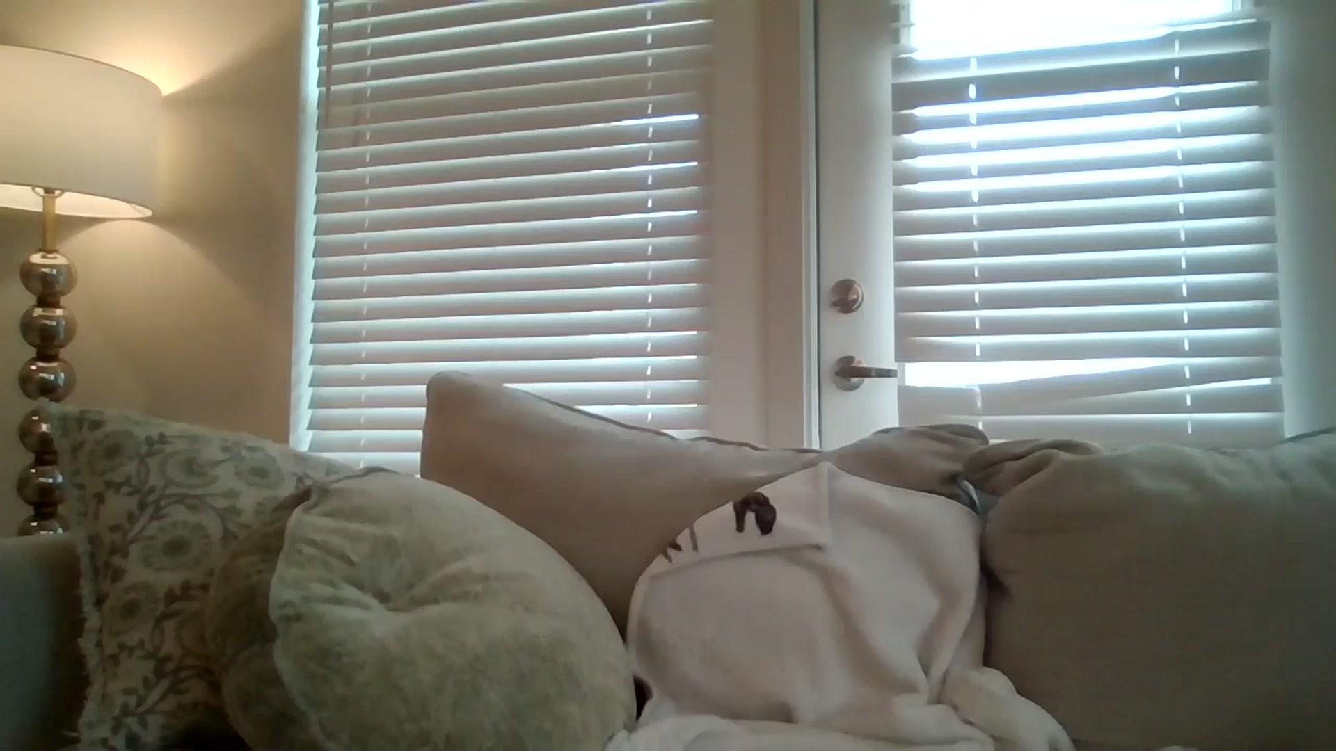Gallery image thumbnail from Lpell1's myfreecams stream on, 01/08/2025, 19:09 image 8 of 20