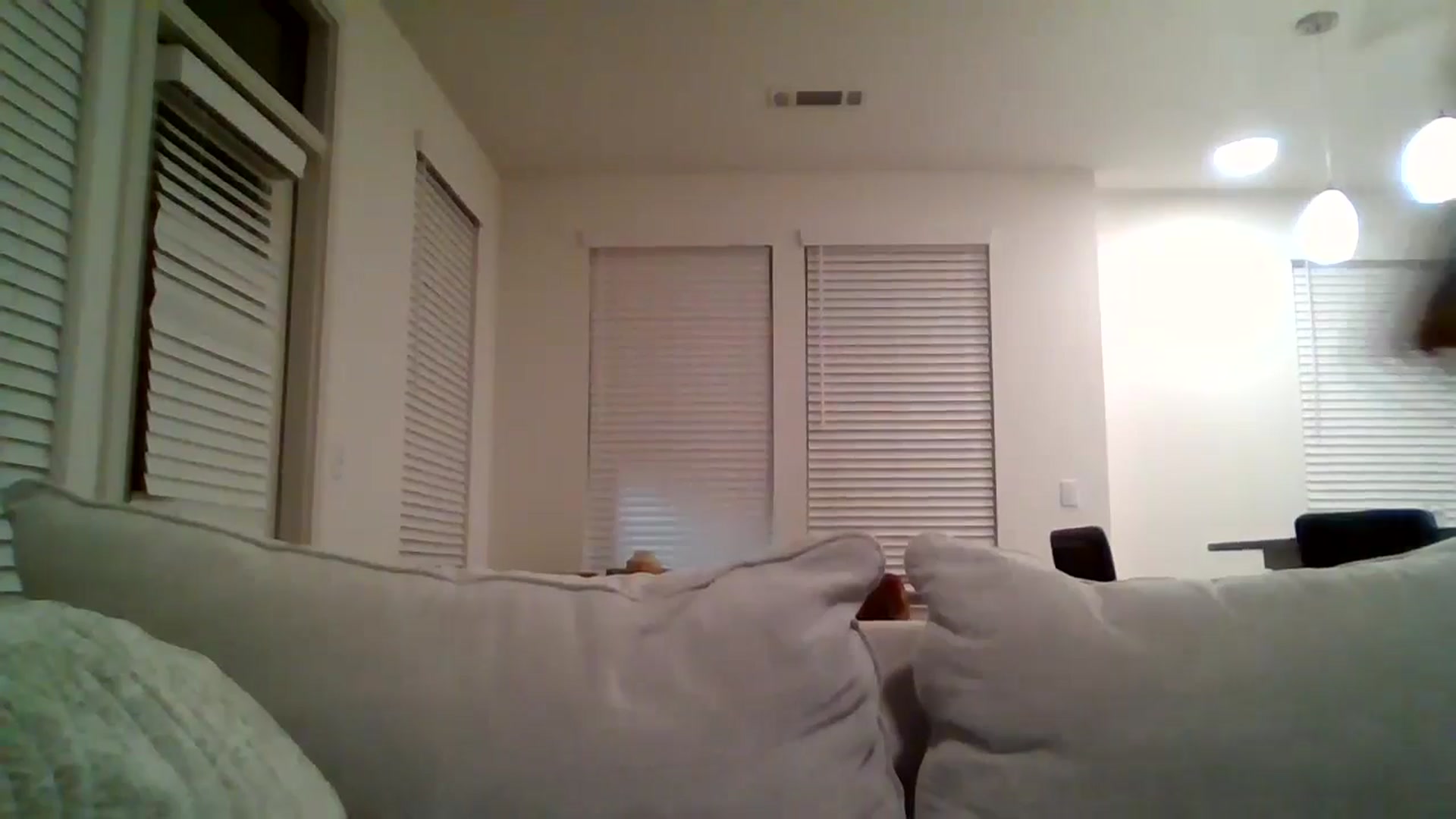 Gallery image thumbnail from Lpell1's myfreecams stream on, 01/29/2025, 01:17 image 18 of 20