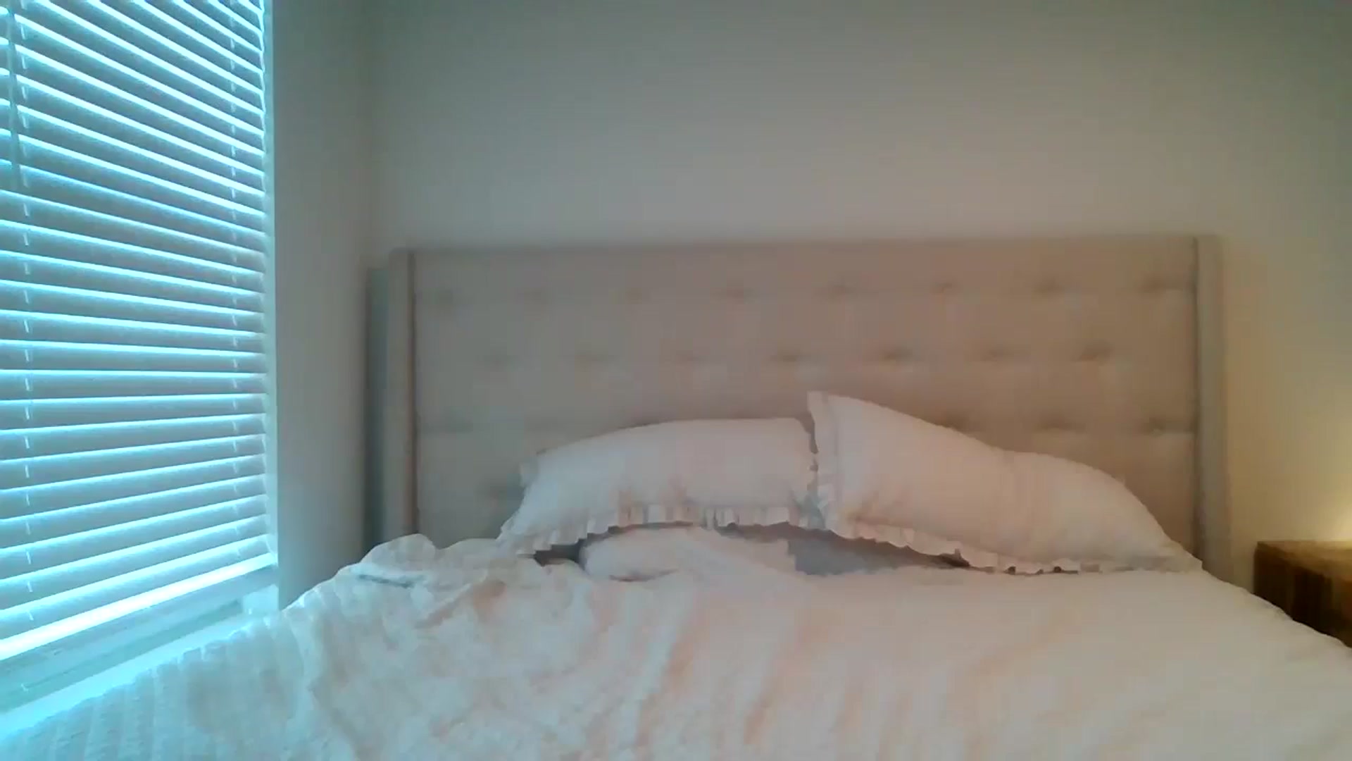 Gallery image thumbnail from Lpell1's myfreecams stream on, 03/05/2025, 22:51 image 11 of 20