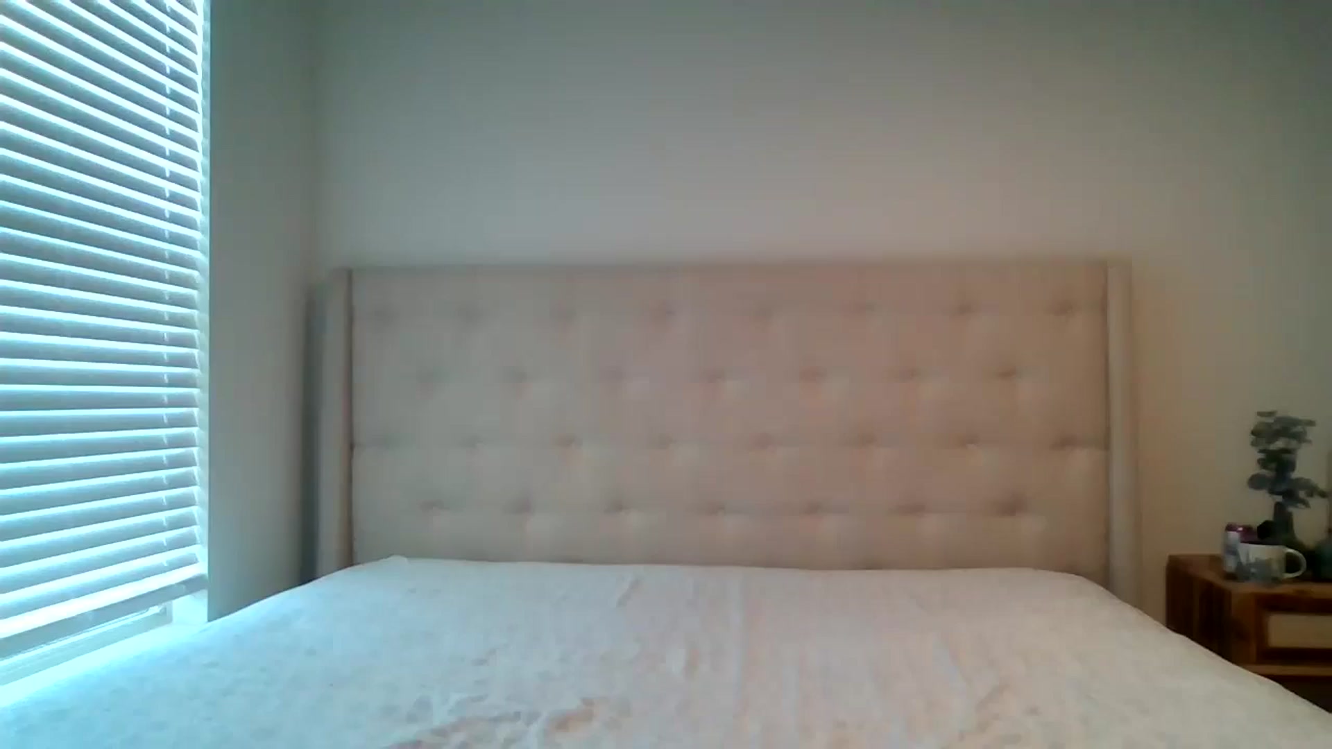 Gallery image thumbnail from Lpell1's myfreecams stream on, 03/20/2025, 20:02 image 15 of 20