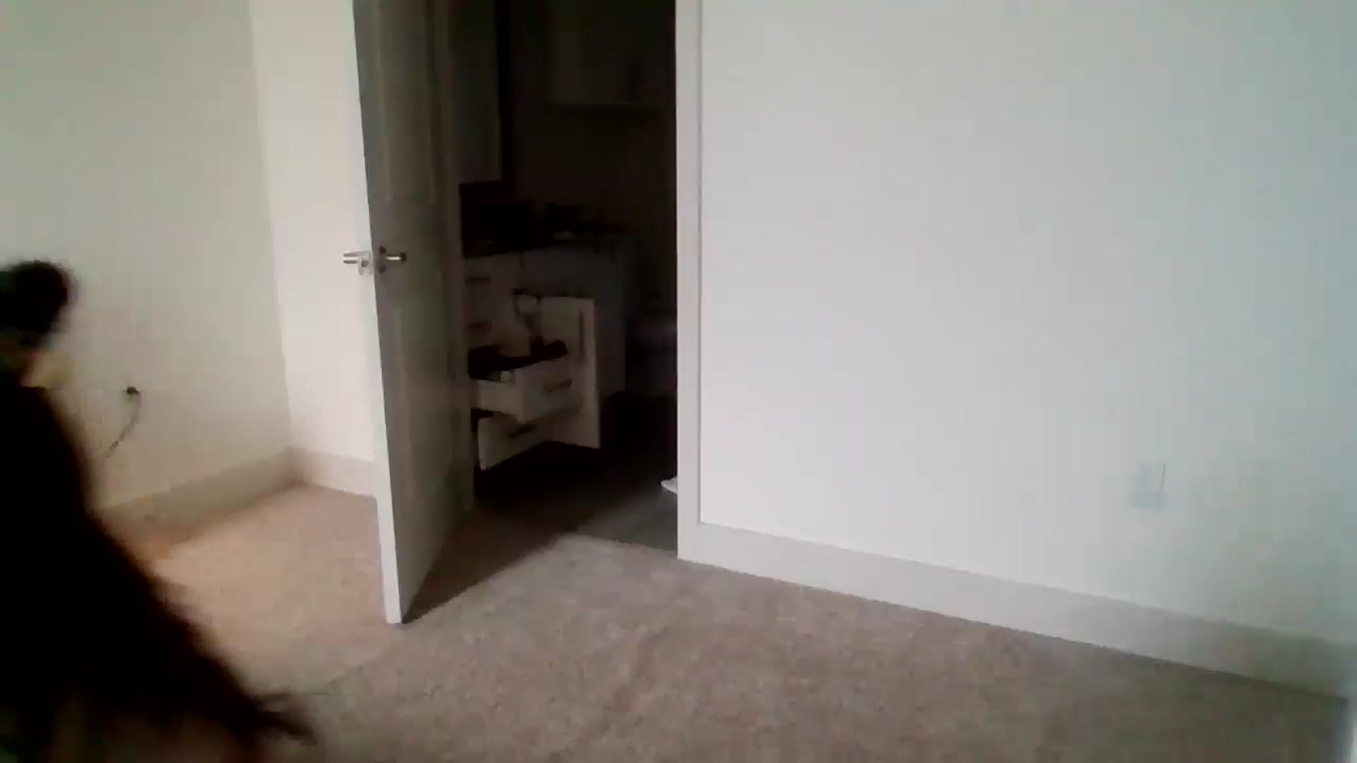 Gallery image thumbnail from Lpell1's myfreecams stream on, 06/25/2025, 22:36 image 6 of 20
