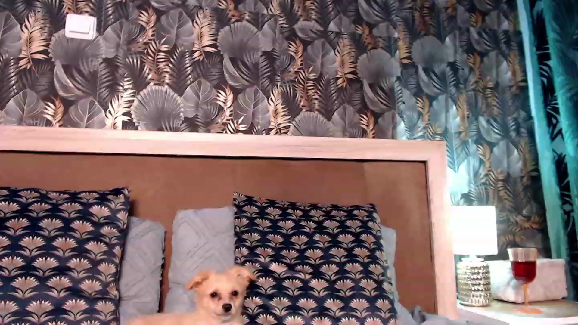 Gallery image thumbnail from Luanalux's myfreecams stream on, 08/10/2023, 21:23 image 19 of 20