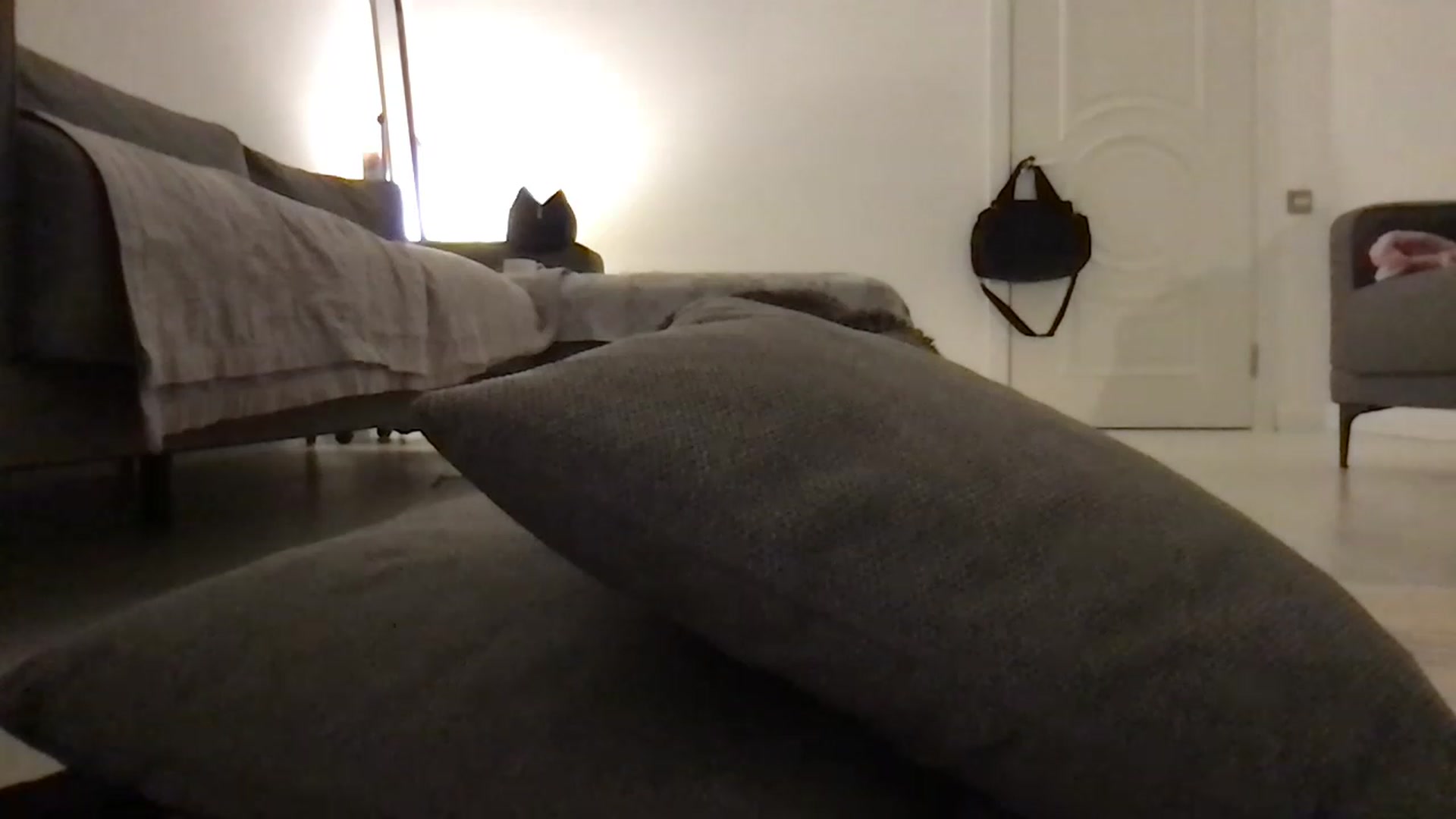 Gallery image thumbnail from Lucky_V's myfreecams stream on, 03/06/2023, 24:03 image 20 of 20