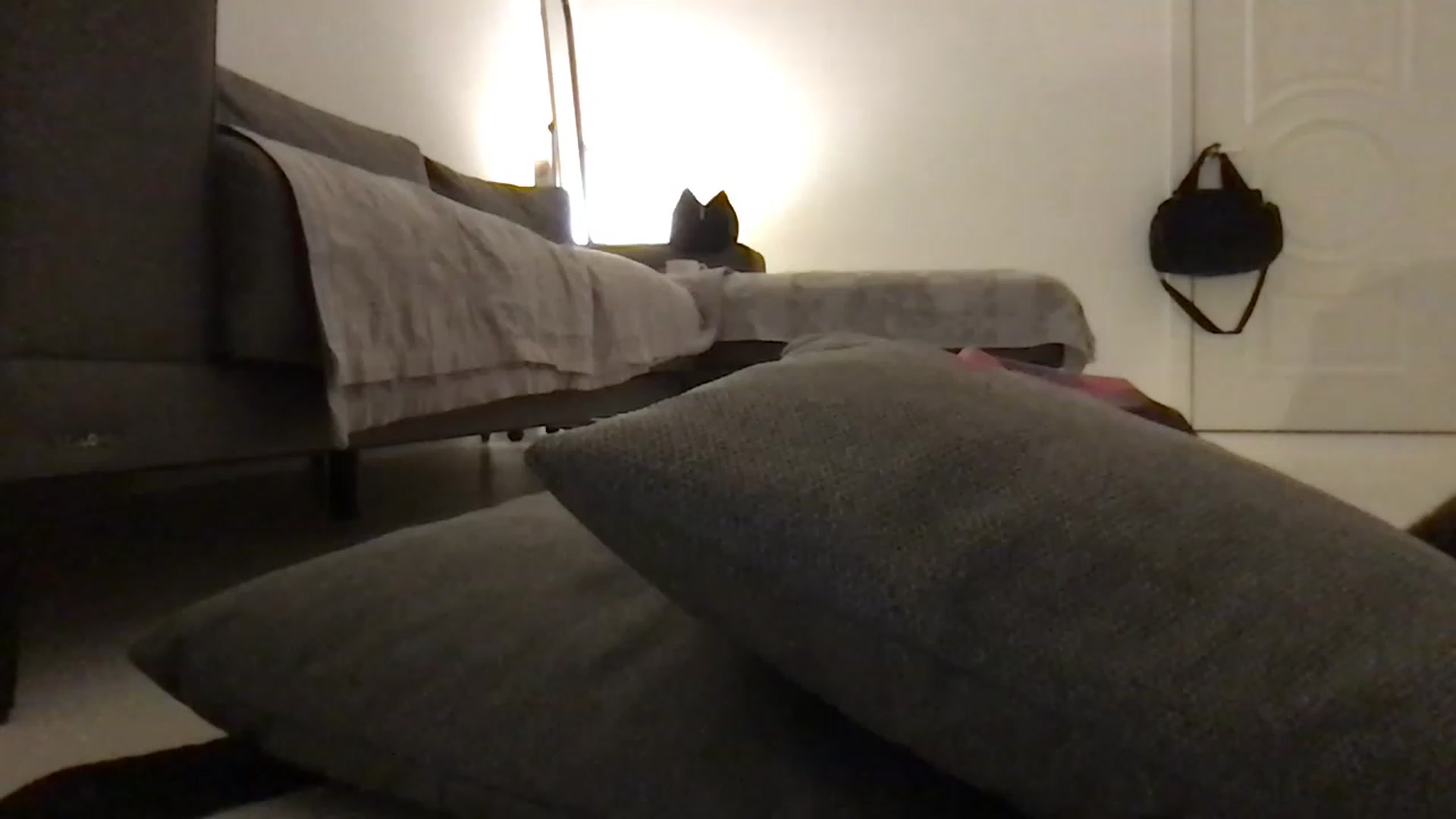 Gallery image thumbnail from Lucky_V's myfreecams stream on, 03/06/2023, 24:29 image 6 of 20