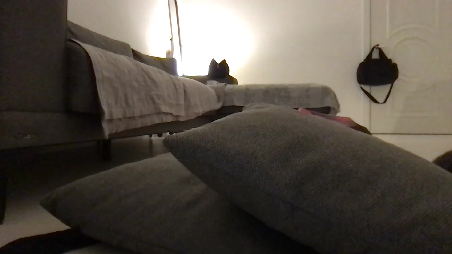 Gallery image thumbnail from Lucky_V's myfreecams stream on, 03/06/2023, 24:29 image 12 of 20