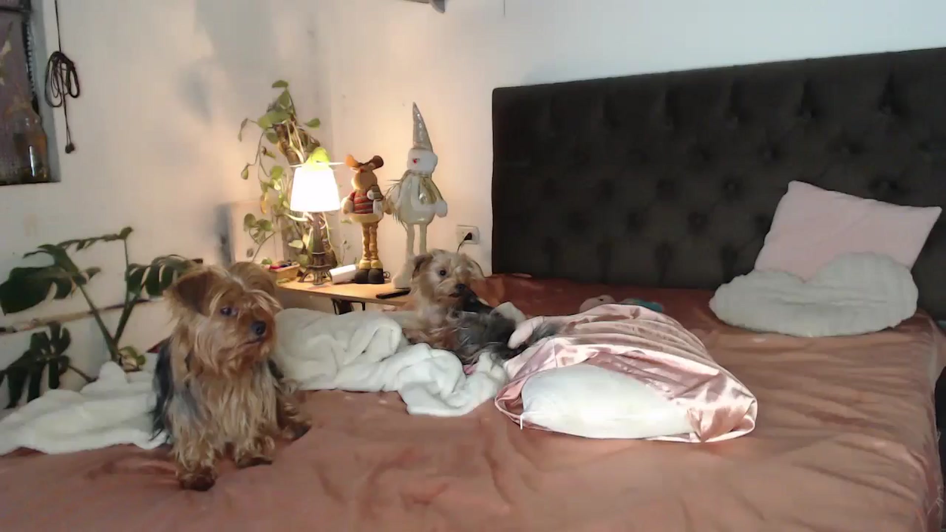 Gallery image thumbnail from Lucy_mar's myfreecams stream on, 01/01/2025, 03:22 image 17 of 20