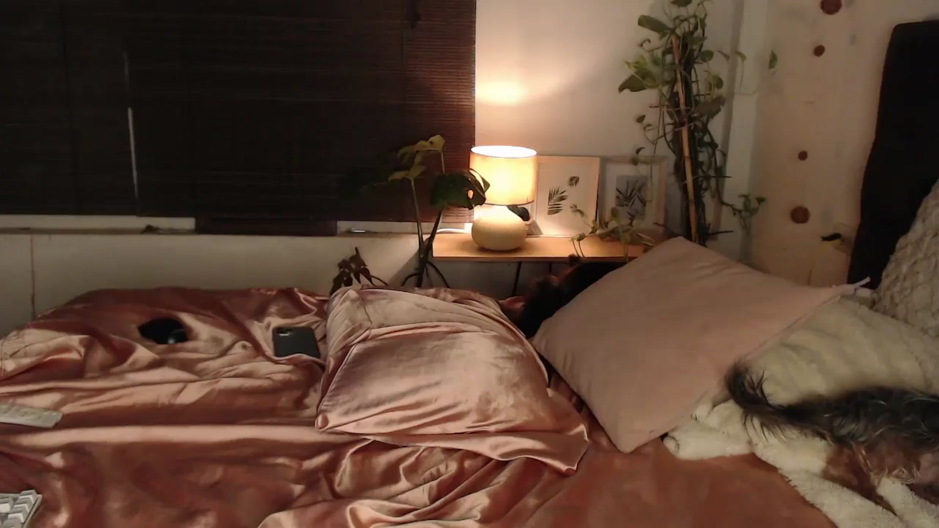 Gallery image thumbnail from Lucy_mar's myfreecams stream on, 02/18/2025, 03:17 image 14 of 20