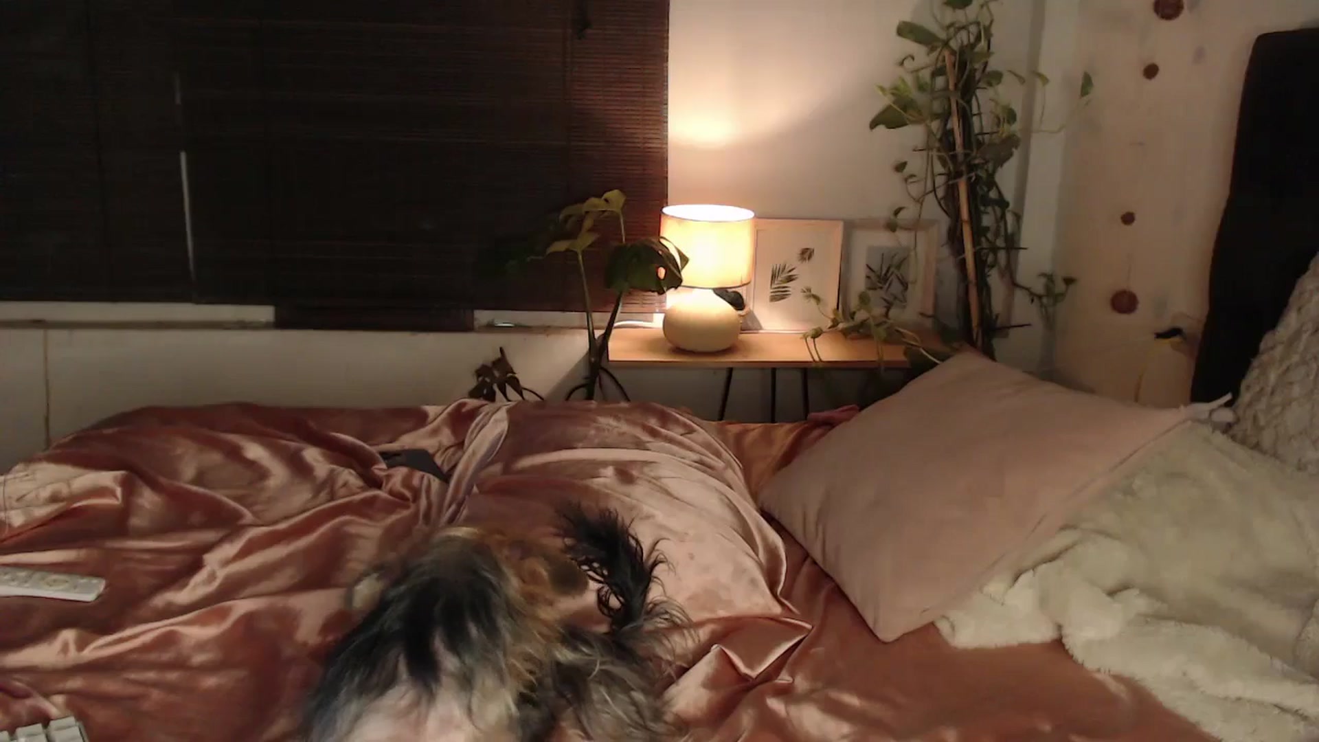 Gallery image thumbnail from Lucy_mar's myfreecams stream on, 02/18/2025, 03:17 image 15 of 20