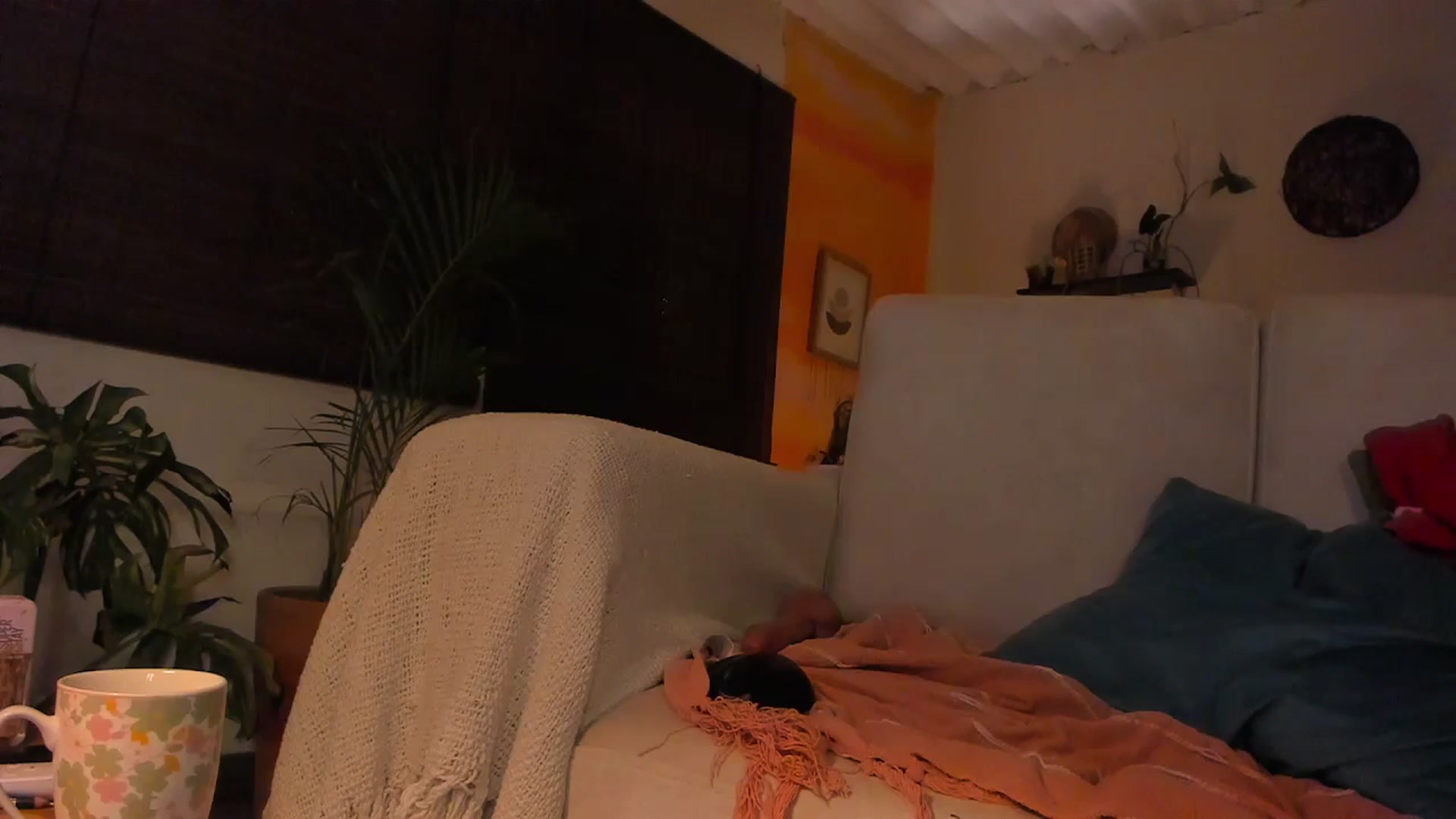 Gallery image thumbnail from Lucy_mar's myfreecams stream on, 12/04/2025, 03:23 image 11 of 20