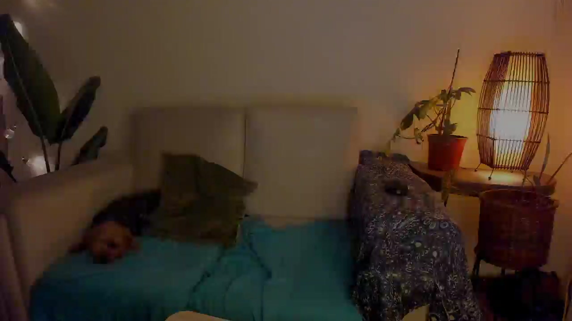 Gallery image thumbnail from Lucy_mar's myfreecams stream on, 01/14/2026, 03:01 image 9 of 20