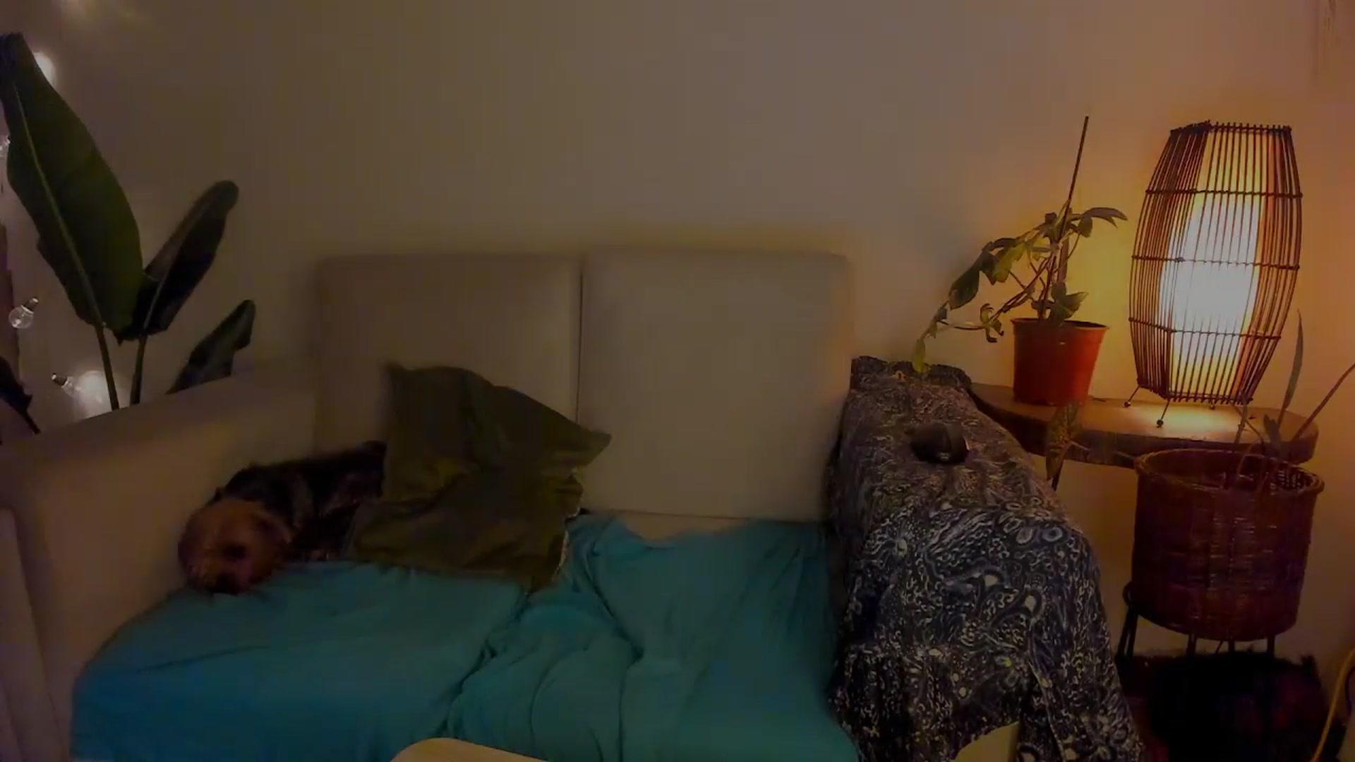 Gallery image thumbnail from Lucy_mar's myfreecams stream on, 01/14/2026, 03:01 image 8 of 20