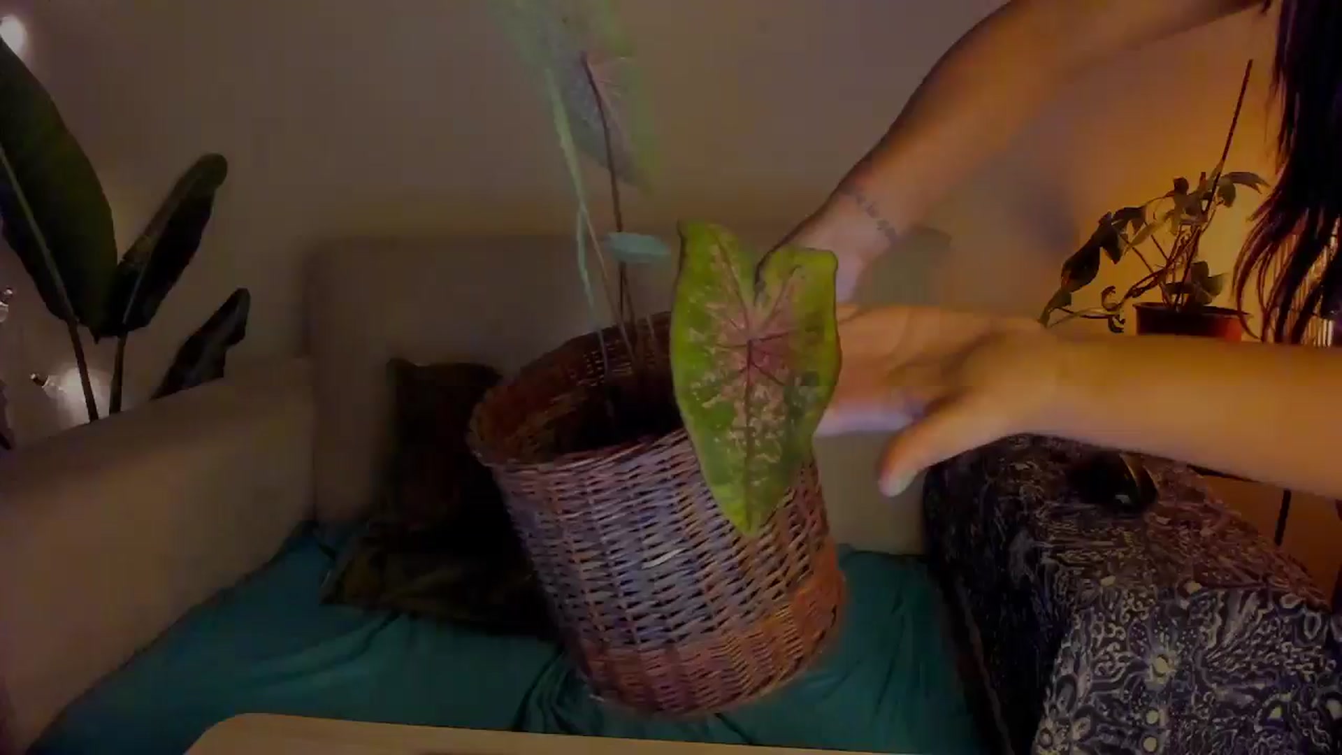Gallery image thumbnail from Lucy_mar's myfreecams stream on, 01/14/2026, 03:01 image 2 of 20