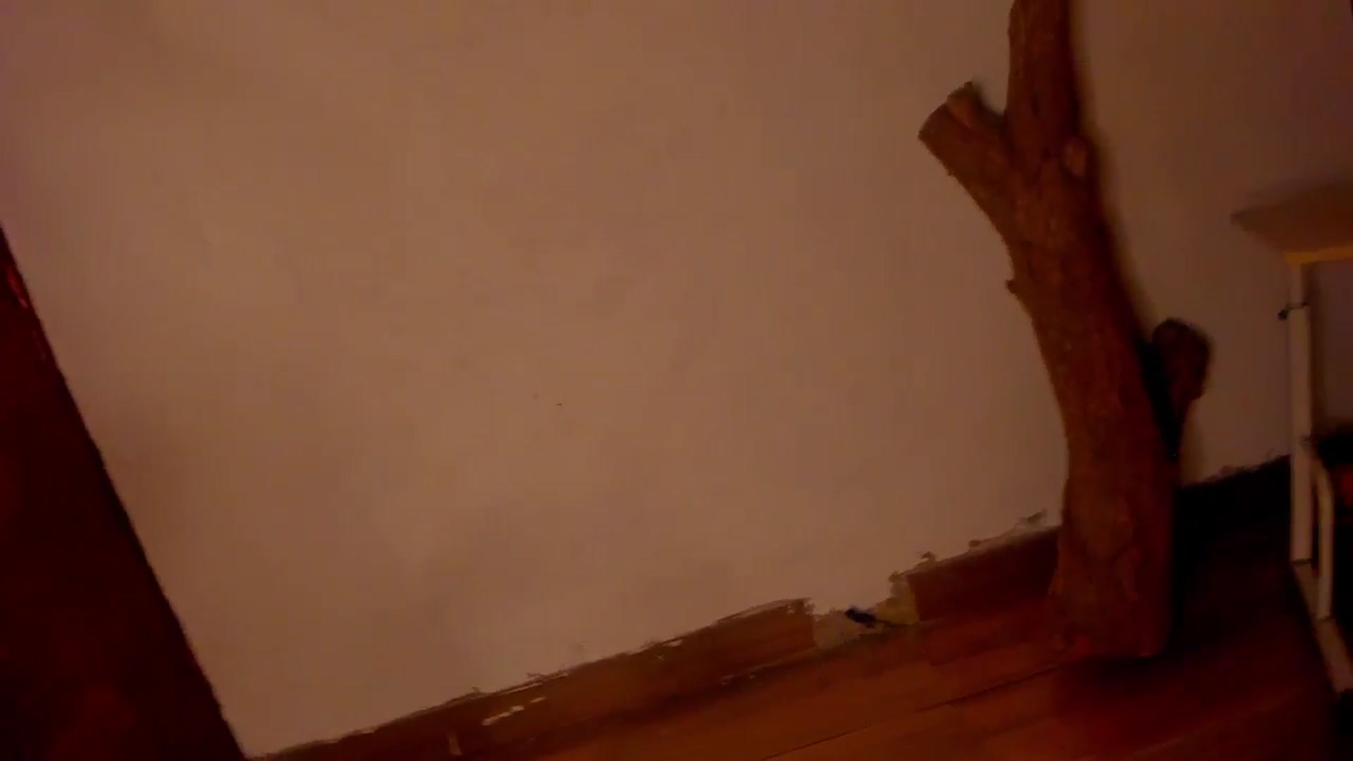 Gallery image thumbnail from Lucy_mar's myfreecams stream on, 01/18/2026, 03:58 image 8 of 20