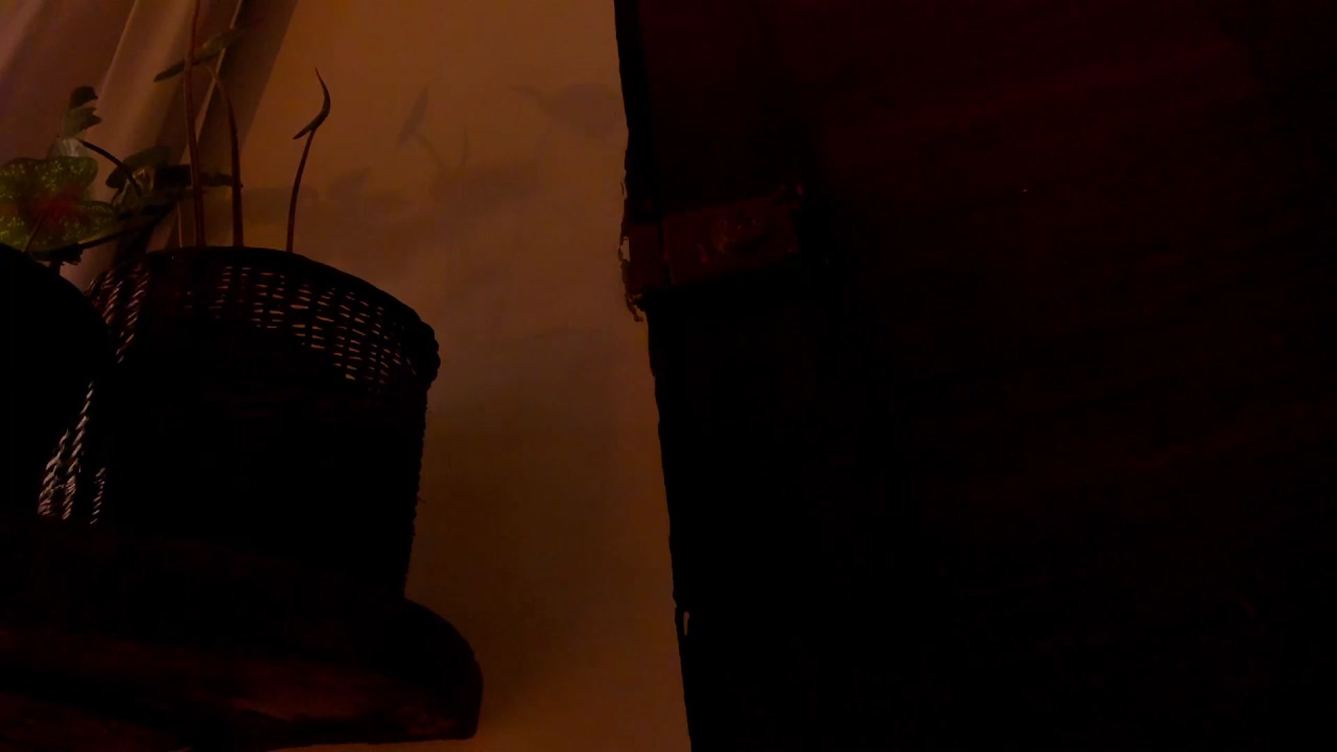 Gallery image thumbnail from Lucy_mar's myfreecams stream on, 01/18/2026, 03:58 image 7 of 20