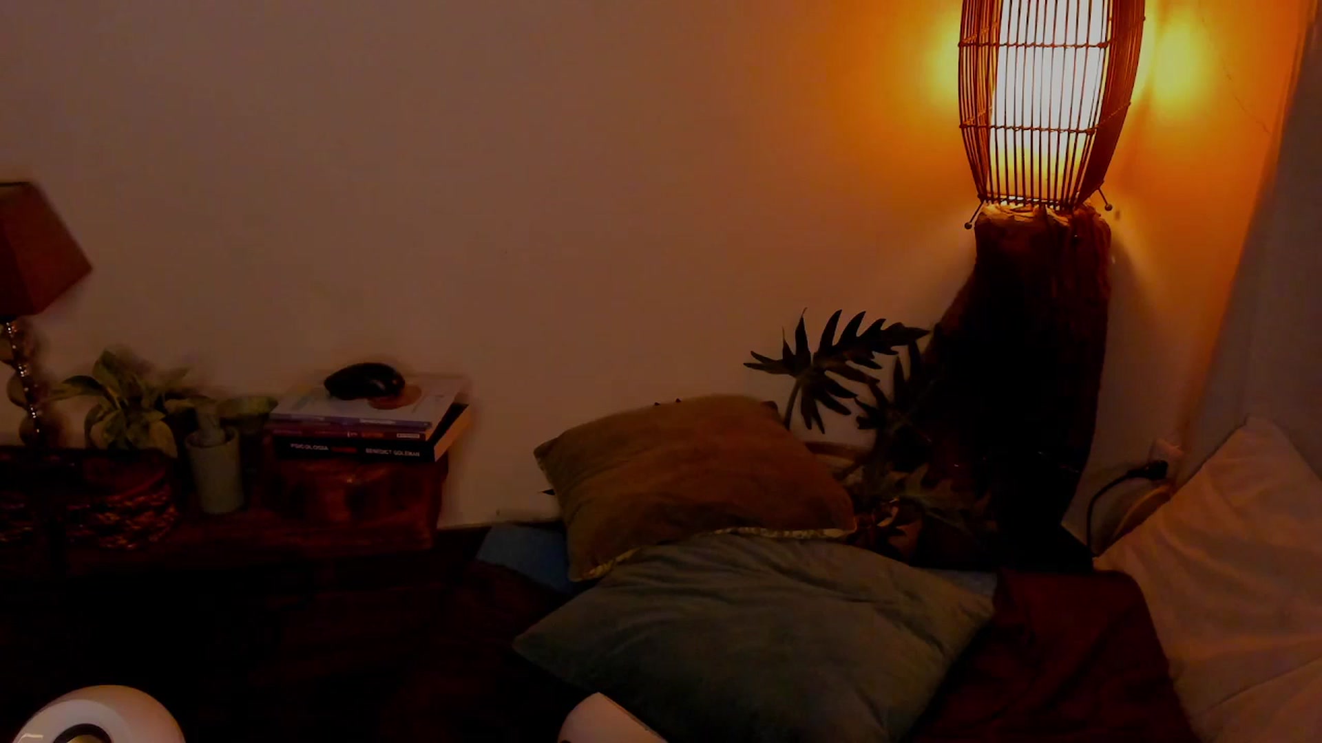 Gallery image thumbnail from Lucy_mar's myfreecams stream on, 02/17/2026, 03:28 image 14 of 20