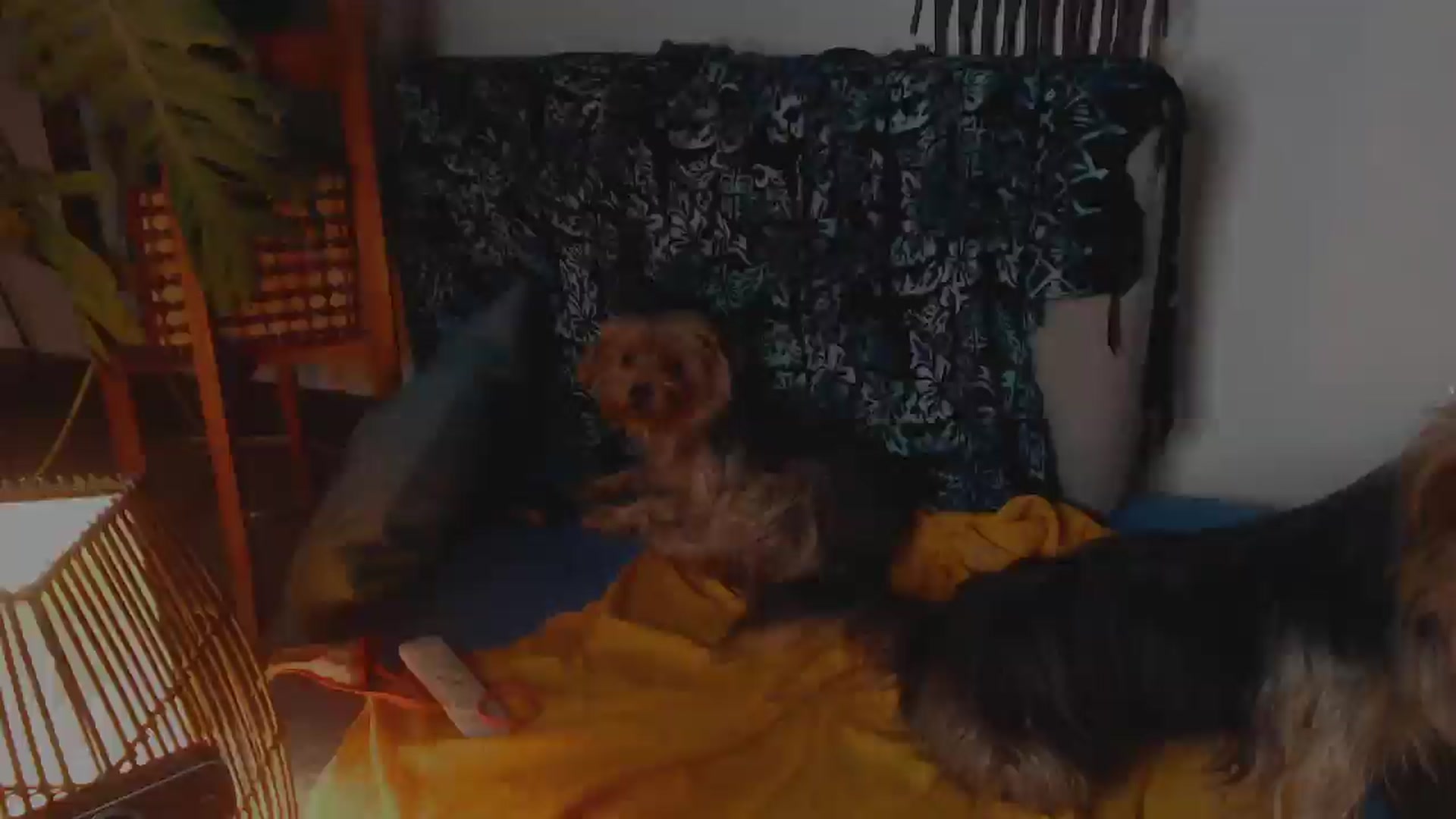Gallery image thumbnail from Lucy_mar's myfreecams stream on, 03/08/2026, 03:34 image 14 of 20