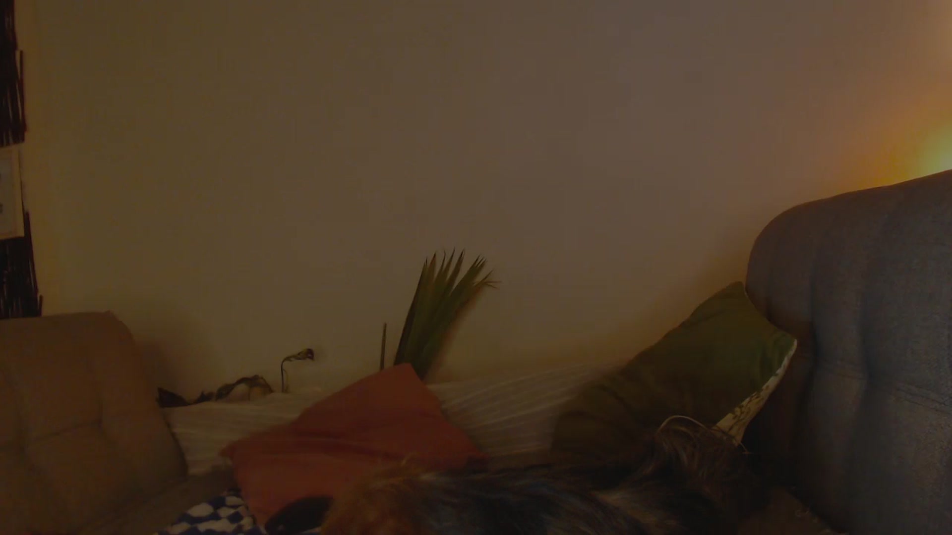 Gallery image thumbnail from Lucy_mar's myfreecams stream on, 03/10/2026, 02:25 image 9 of 20