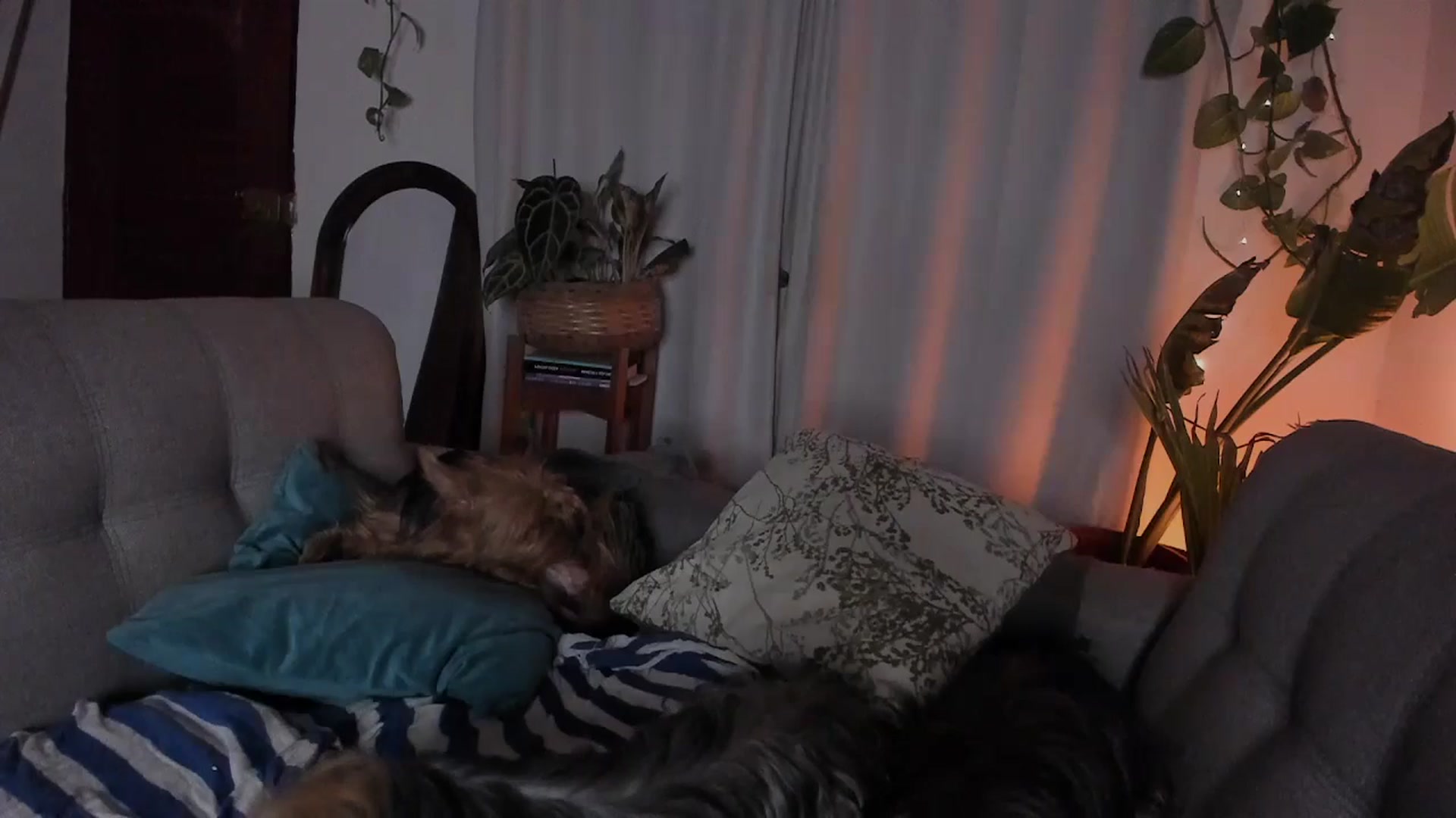 Gallery image thumbnail from Lucy_mar's myfreecams stream on, 03/22/2026, 03:08 image 12 of 20