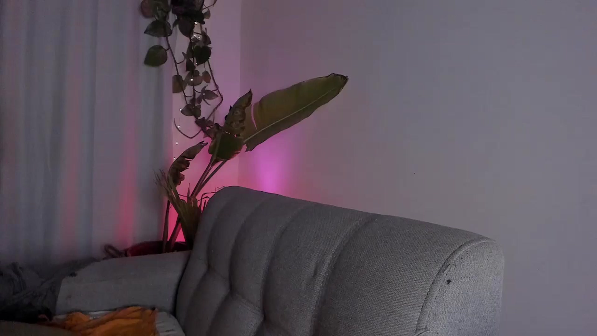 Gallery image thumbnail from Lucy_mar's myfreecams stream on, 03/23/2026, 02:32 image 18 of 20