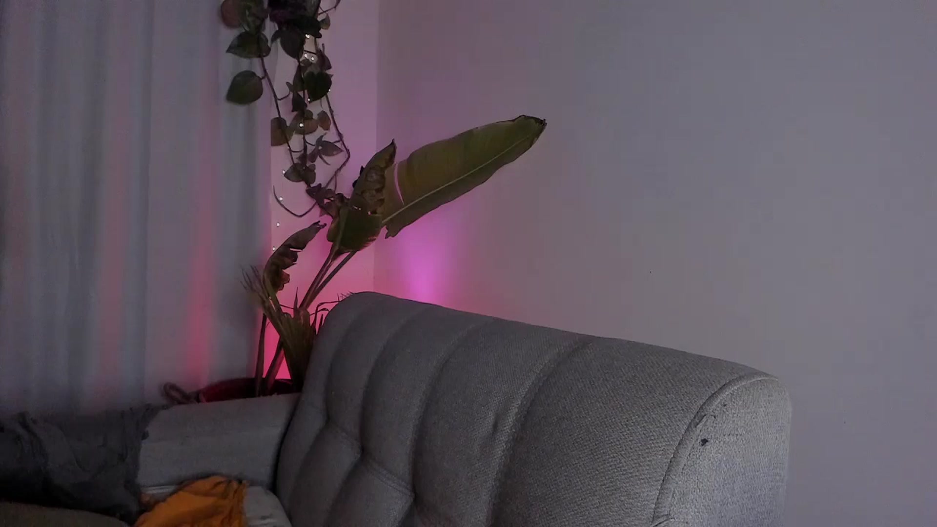 Gallery image thumbnail from Lucy_mar's myfreecams stream on, 03/23/2026, 02:32 image 17 of 20