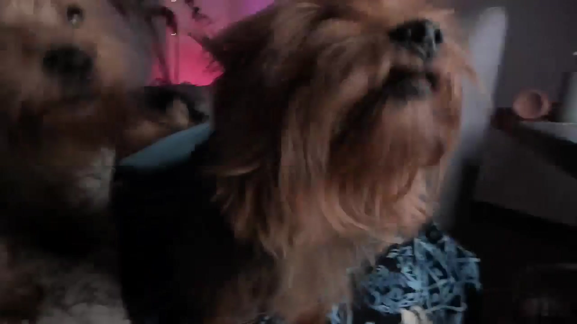 Gallery image thumbnail from Lucy_mar's myfreecams stream on, 03/31/2026, 02:38 image 16 of 20