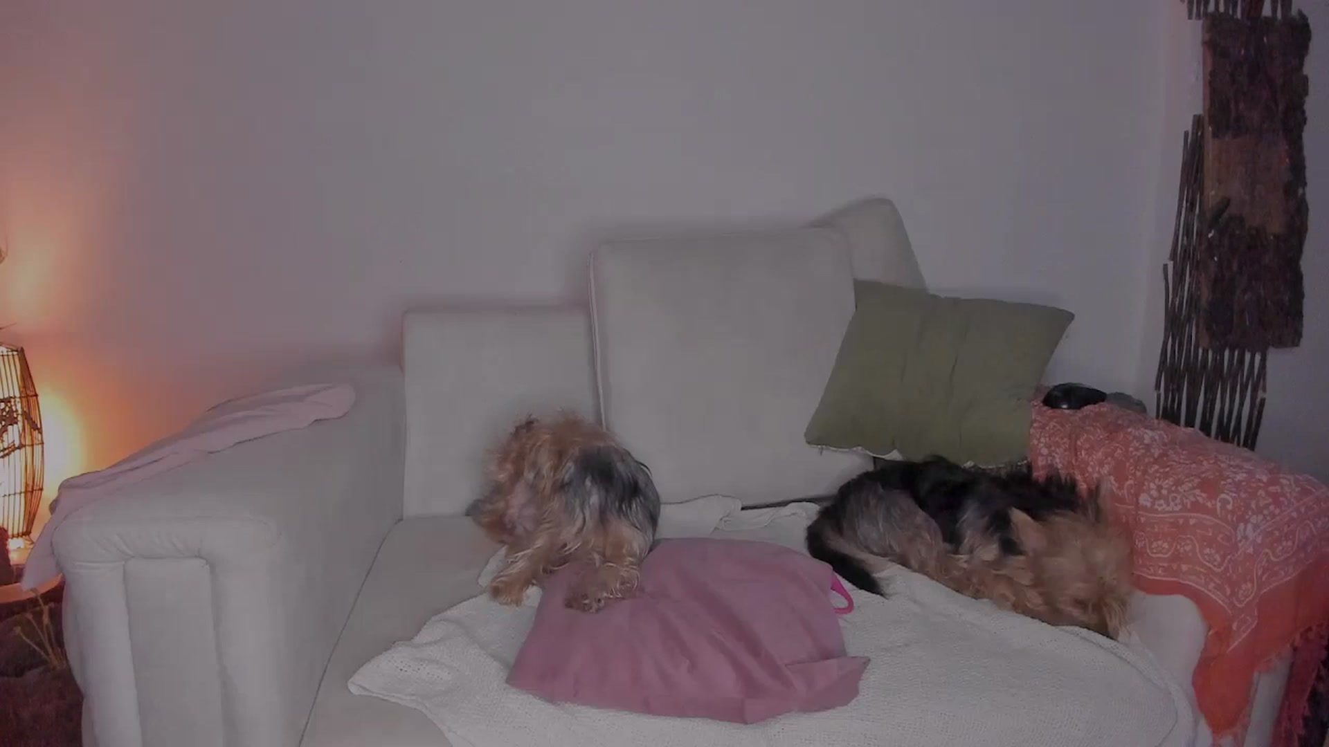 Gallery image thumbnail from Lucy_mar's myfreecams stream on, 04/06/2026, 03:16 image 11 of 20